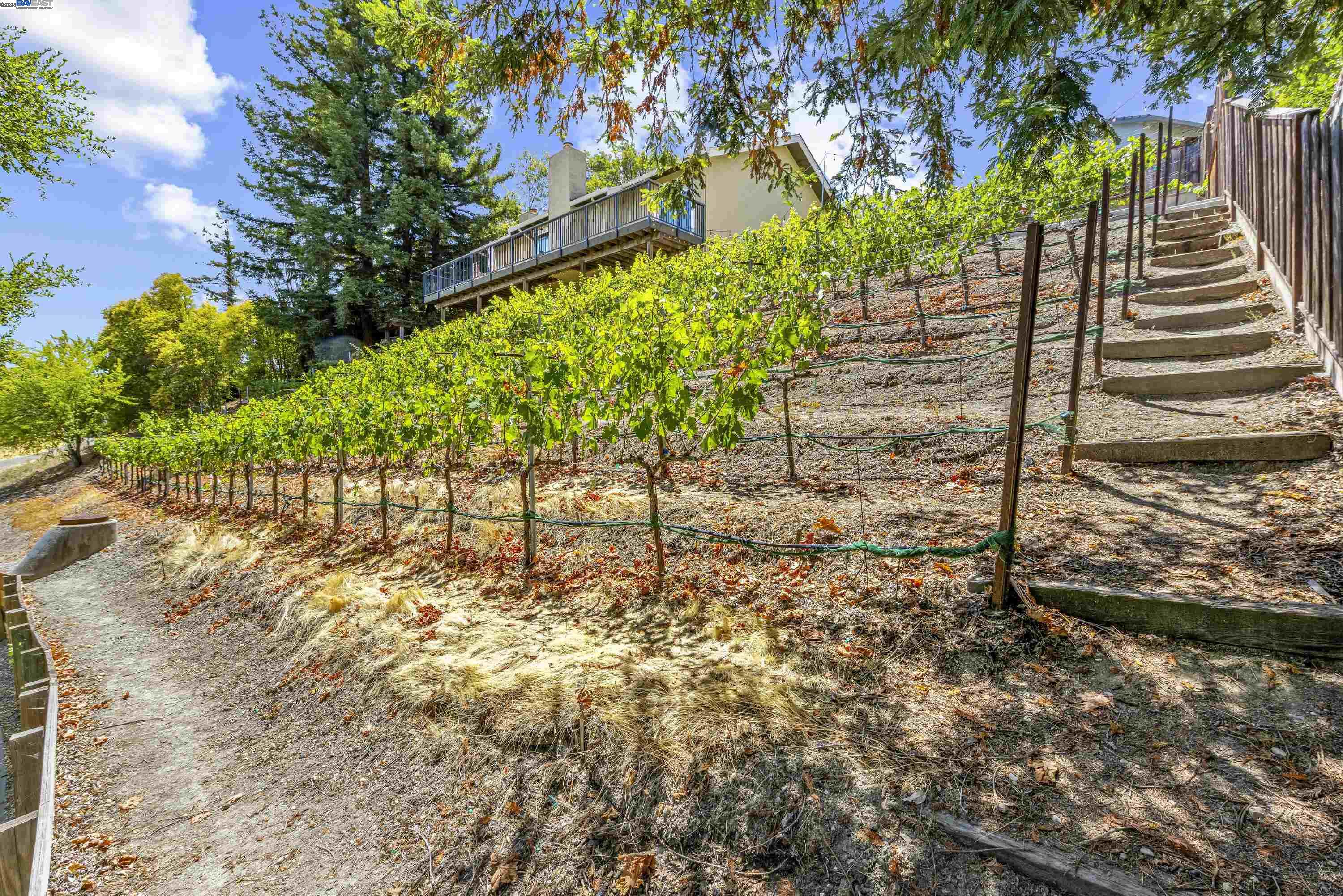 Detail Gallery Image 23 of 32 For 8146 Vomac Ct, Dublin,  CA 94568 - 4 Beds | 2/1 Baths