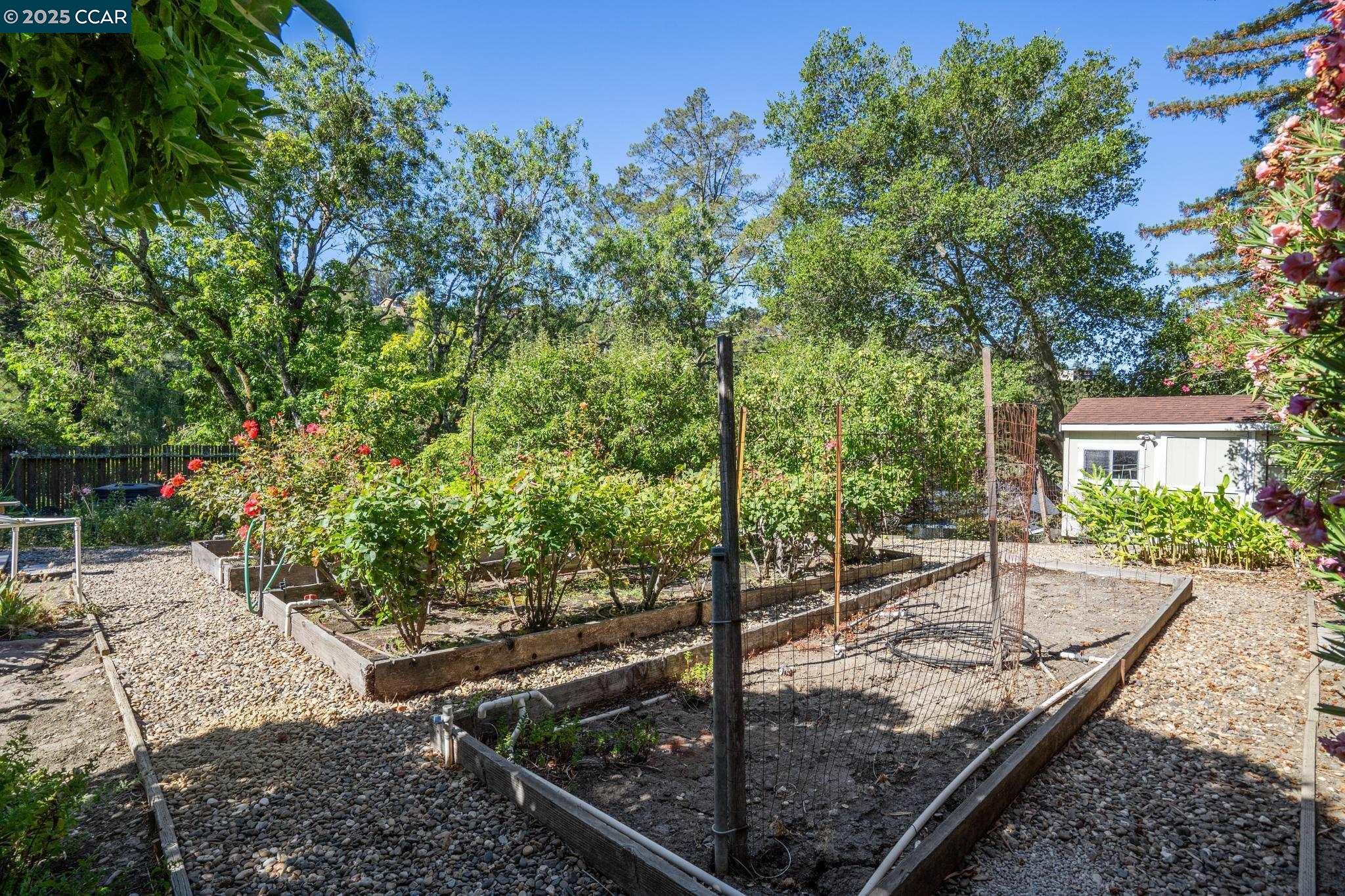 Detail Gallery Image 47 of 50 For 9 Lind Ct, Orinda,  CA 94563 - 4 Beds | 2/1 Baths