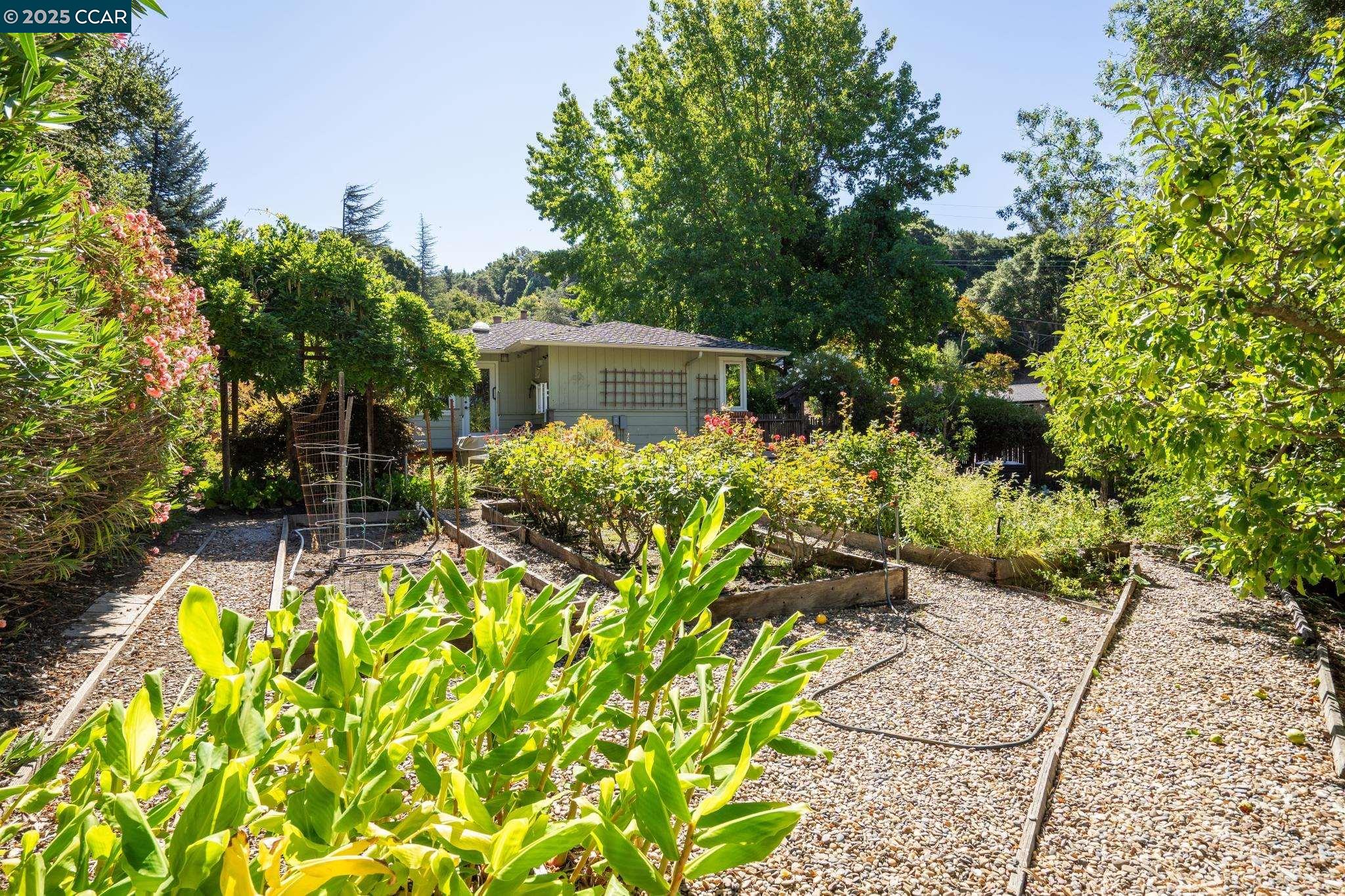 Detail Gallery Image 49 of 50 For 9 Lind Ct, Orinda,  CA 94563 - 4 Beds | 2/1 Baths