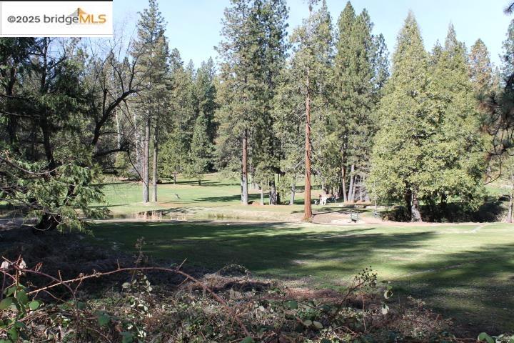 Detail Gallery Image 29 of 34 For 22511 Lilac Ln, Twain Harte,  CA 95383 - 5 Beds | 3 Baths