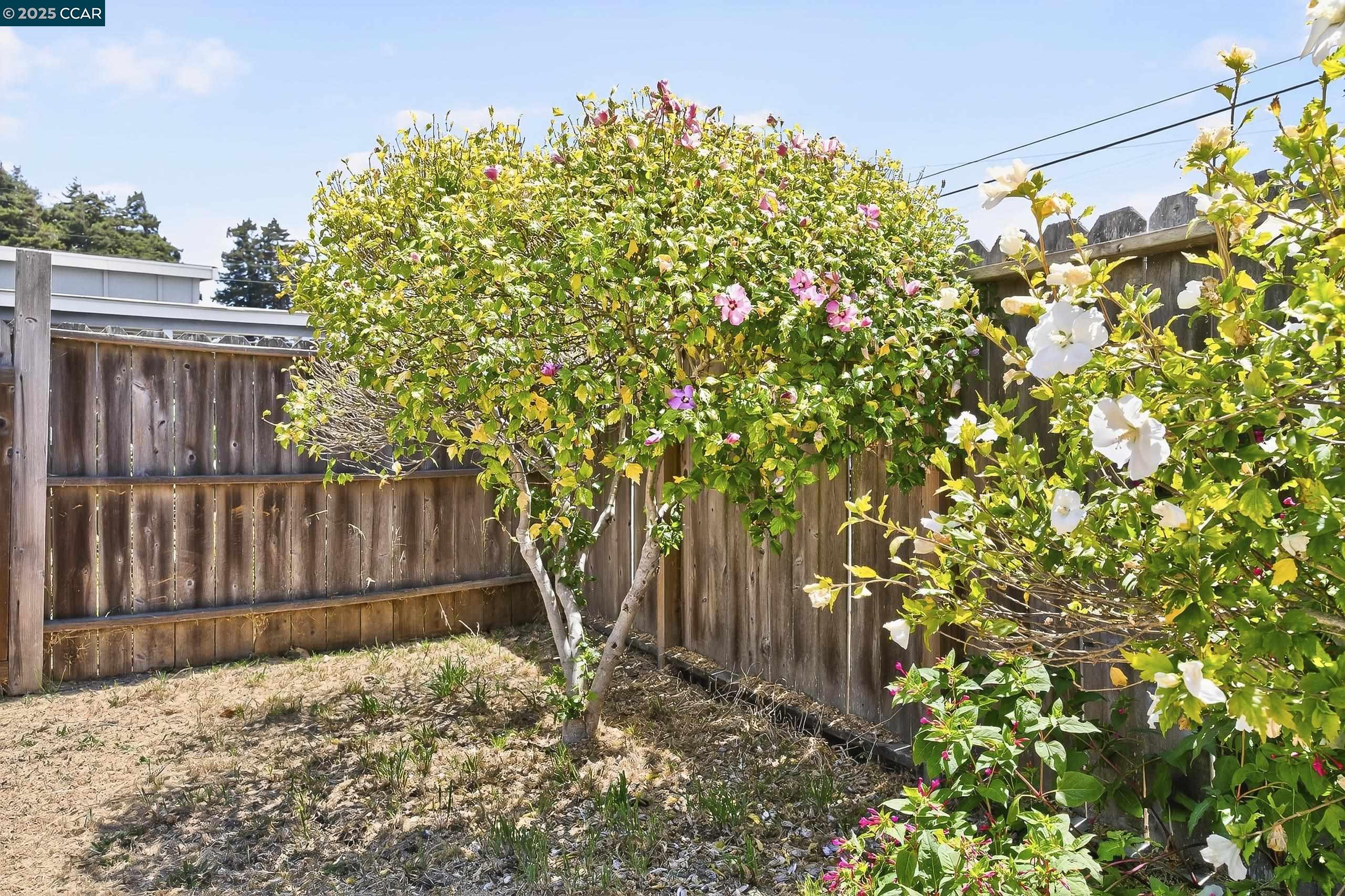 Detail Gallery Image 39 of 40 For 1402 25th St, Richmond,  CA 94806 - 2 Beds | 1 Baths