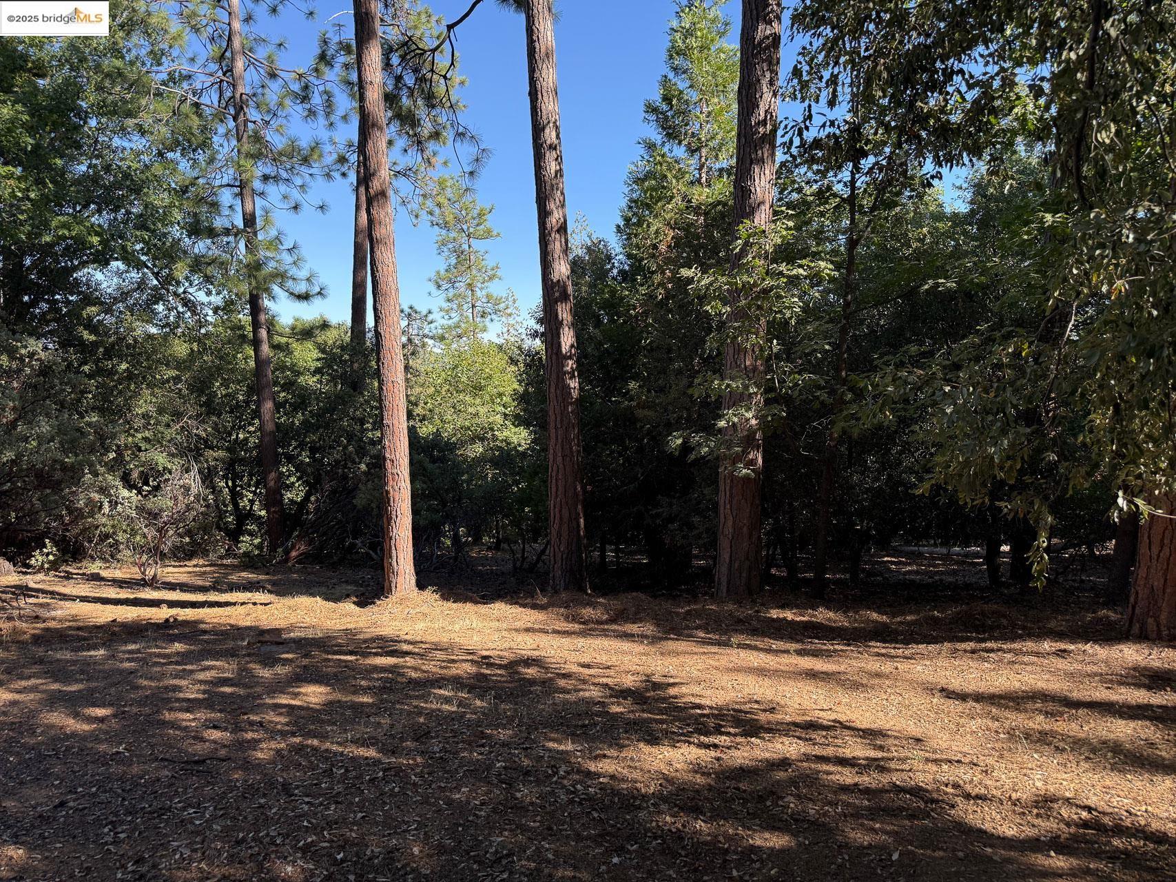 Detail Gallery Image 27 of 28 For 23755 Stage Coach Dr, Sonora,  CA 95370 - 3 Beds | 1 Baths