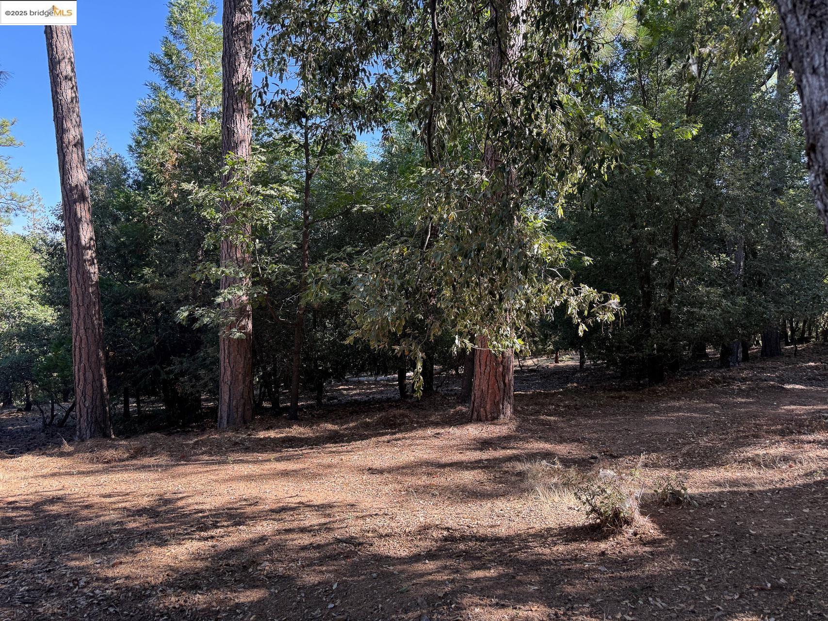 Detail Gallery Image 28 of 28 For 23755 Stage Coach Dr, Sonora,  CA 95370 - 3 Beds | 1 Baths