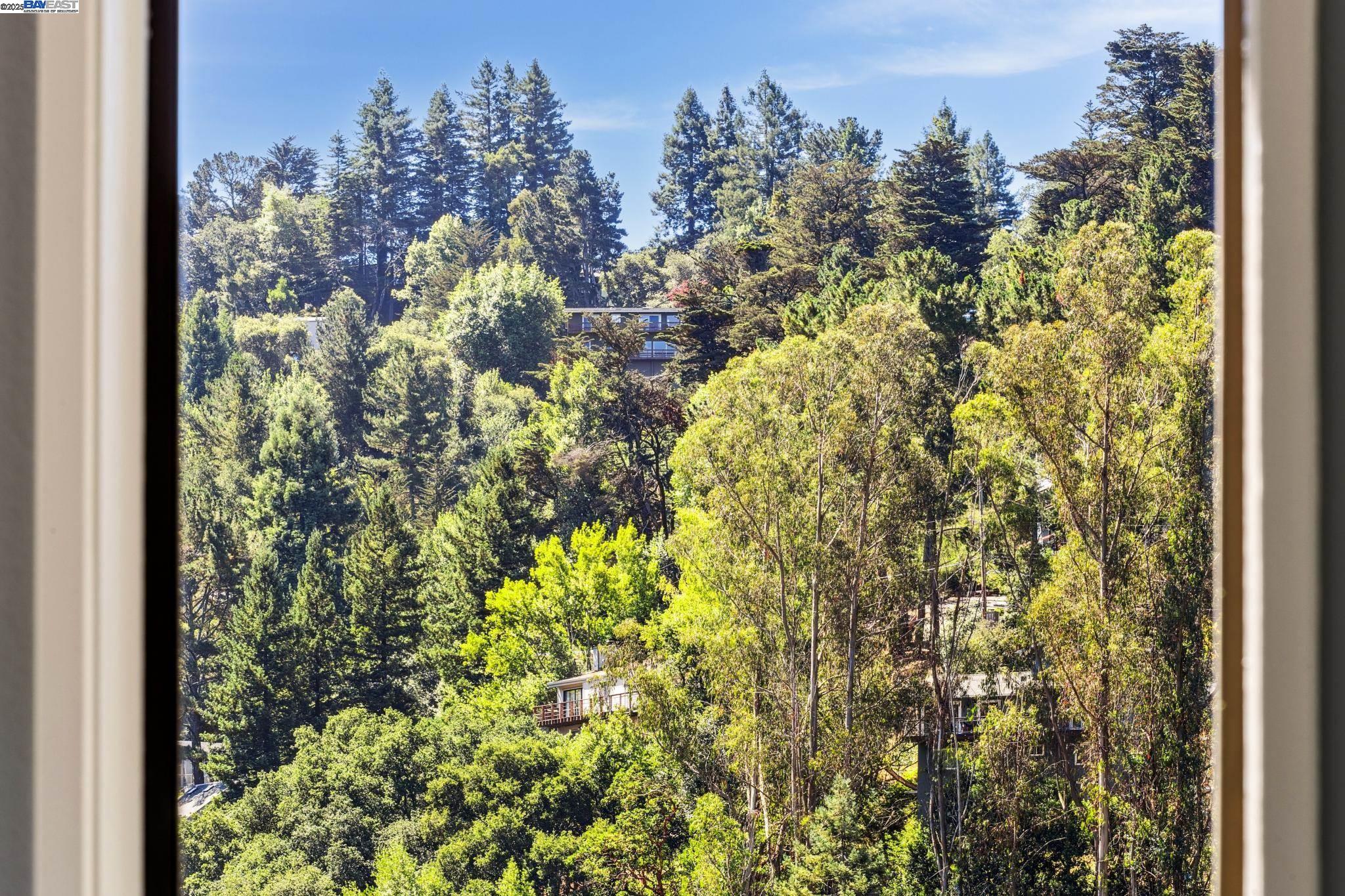Detail Gallery Image 12 of 60 For 7350 Woodrow Drive, Oakland,  CA 94611 - 3 Beds | 2/1 Baths