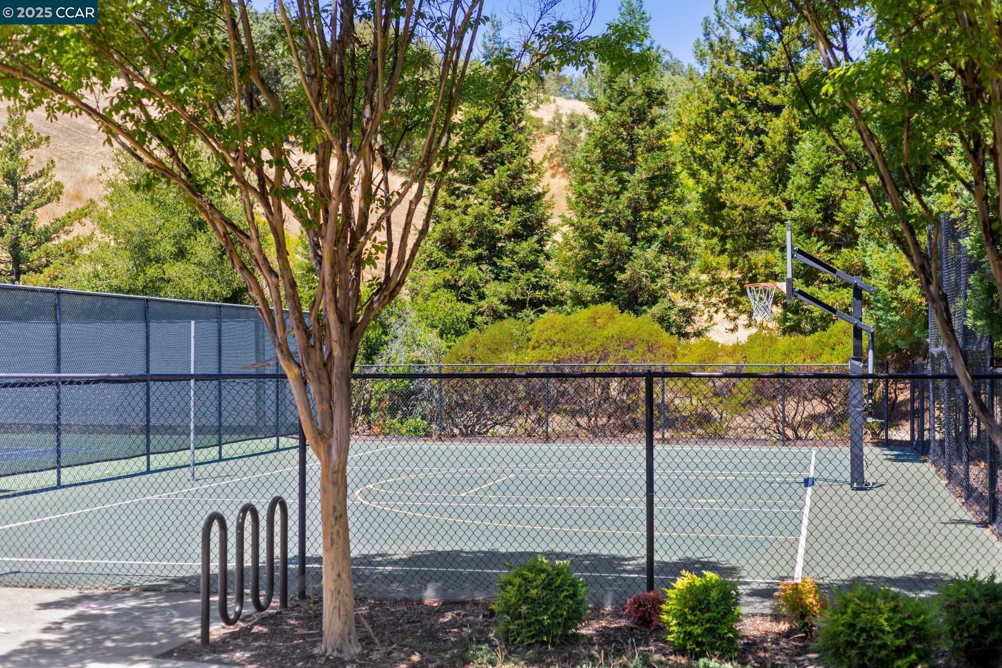 Detail Gallery Image 59 of 60 For 24 Volterra Ct, Danville,  CA 94526 - 5 Beds | 3 Baths