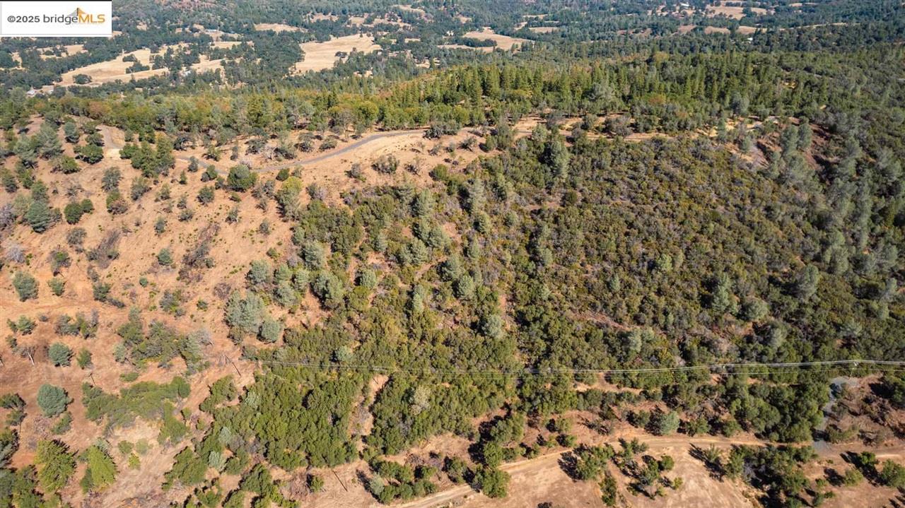 Detail Gallery Image 13 of 24 For 17880 State Highway 120, –,  CA 95305 - – Beds | – Baths