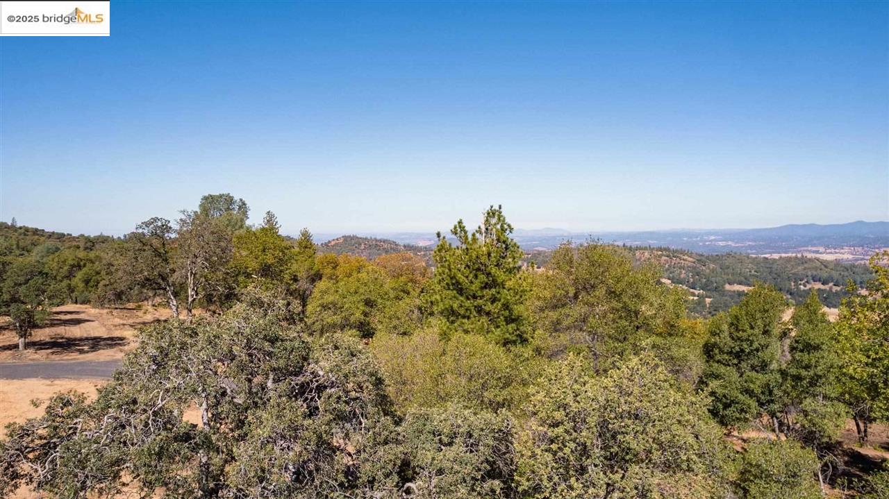 Detail Gallery Image 23 of 24 For 17880 State Highway 120, –,  CA 95305 - – Beds | – Baths