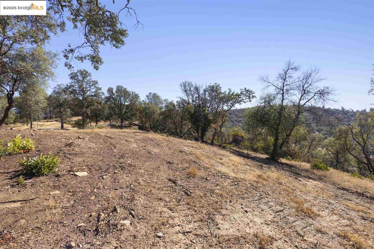 Detail Gallery Image 7 of 24 For 17880 State Highway 120, –,  CA 95305 - – Beds | – Baths