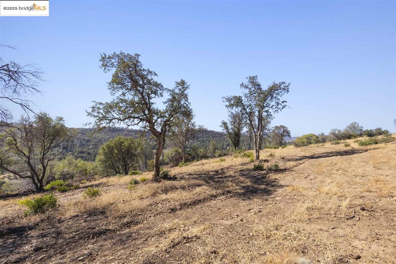 Detail Gallery Image 8 of 24 For 17880 State Highway 120, –,  CA 95305 - – Beds | – Baths