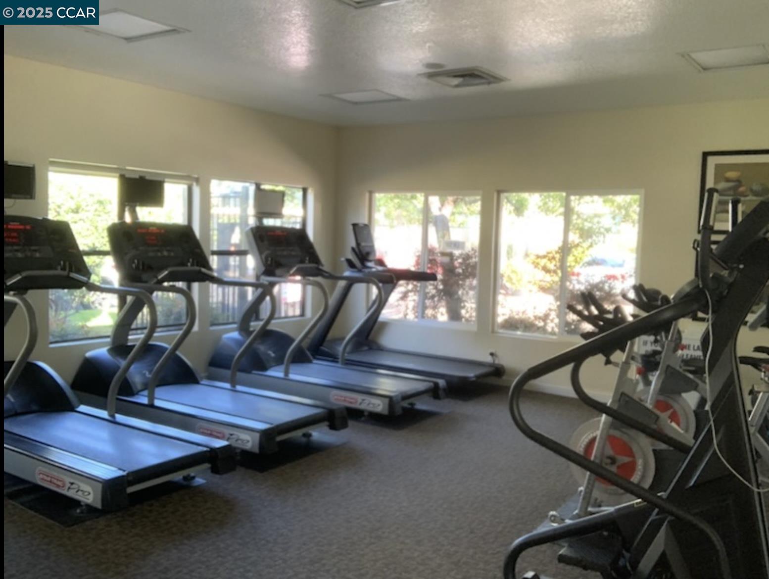 Photo #12: 41107473 Listing: Photo #12