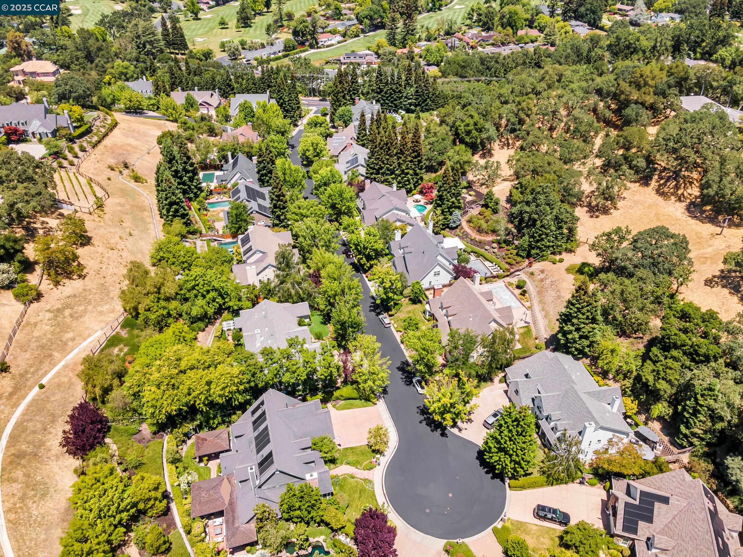 Detail Gallery Image 50 of 59 For 529 Justin Morgan Dr, Alamo,  CA 94507 - 6 Beds | 4/1 Baths