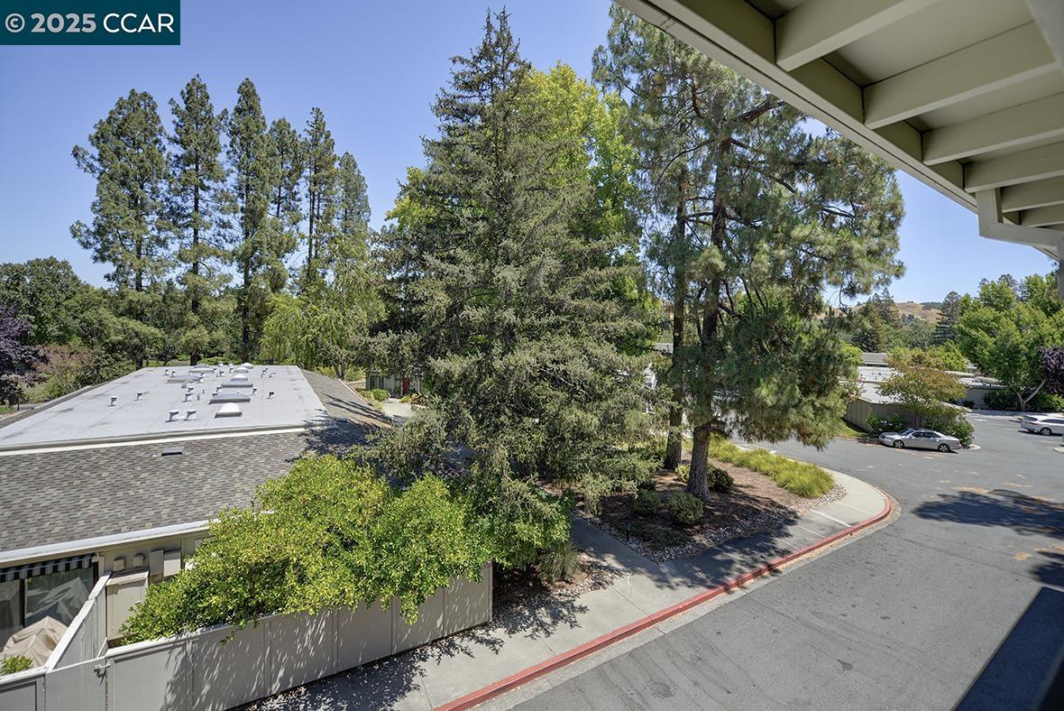 Photo #13: 41107492 Listing: Photo #13