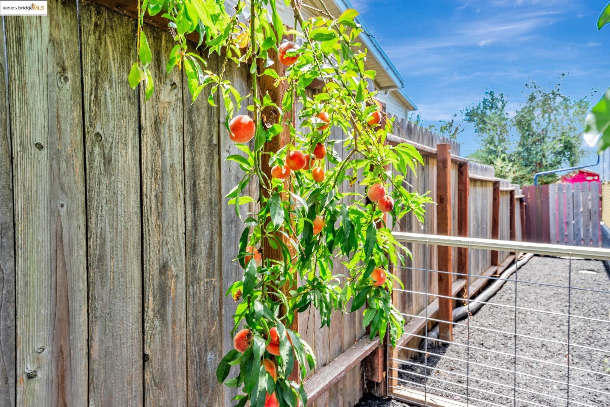 Detail Gallery Image 28 of 31 For 4801 Fairfax Ave, Oakland,  CA 94601 - 1 Beds | 1 Baths