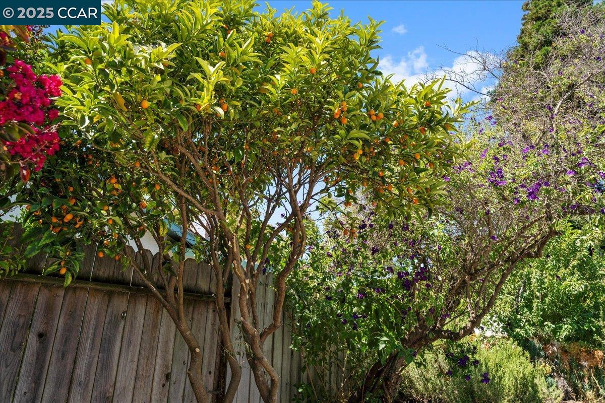 Detail Gallery Image 12 of 12 For 5040 Silverado Dr, Fairfield,  CA 94534 - 3 Beds | 2 Baths