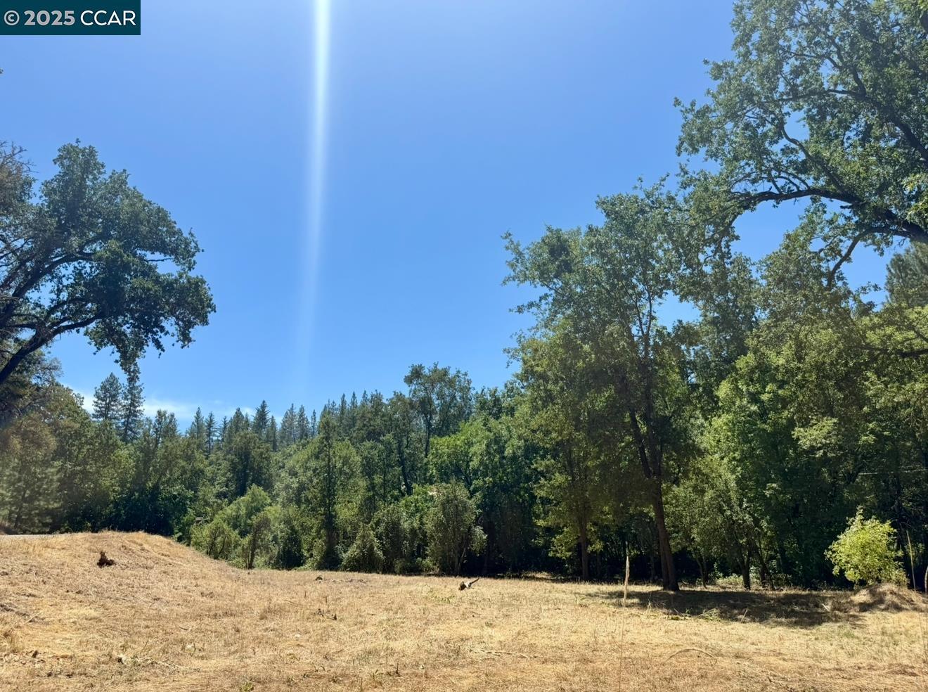 Detail Gallery Image 14 of 25 For 4578 Pretty Good Rd, Placerville,  CA 95667 - – Beds | – Baths