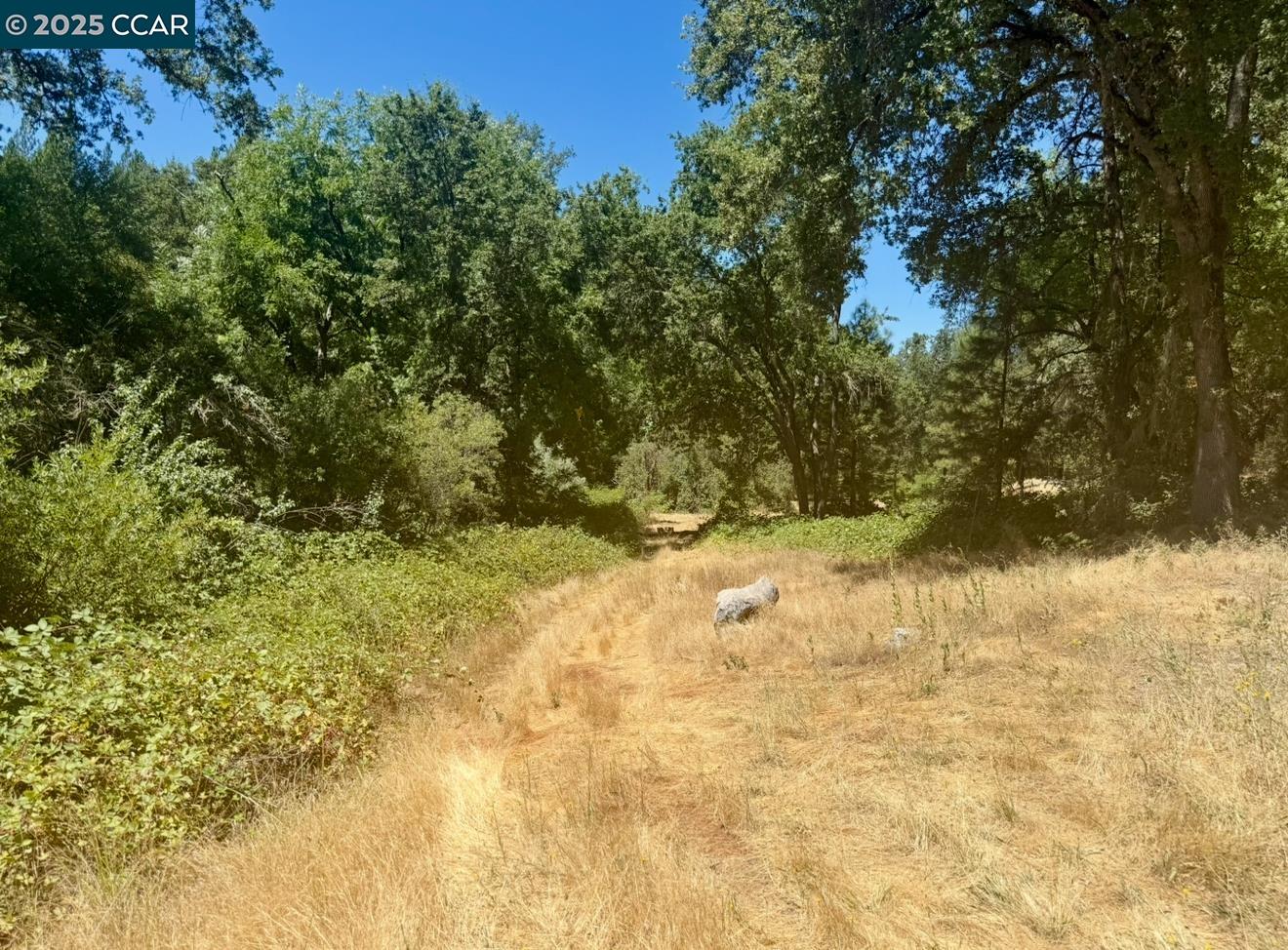 Detail Gallery Image 17 of 25 For 4578 Pretty Good Rd, Placerville,  CA 95667 - – Beds | – Baths