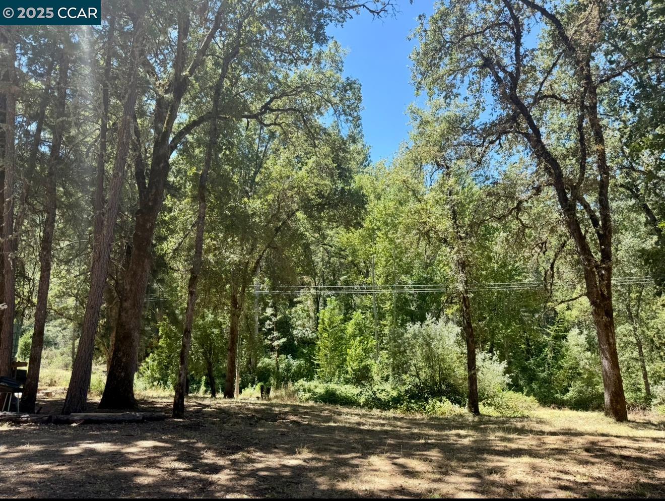 Detail Gallery Image 18 of 25 For 4578 Pretty Good Rd, Placerville,  CA 95667 - – Beds | – Baths