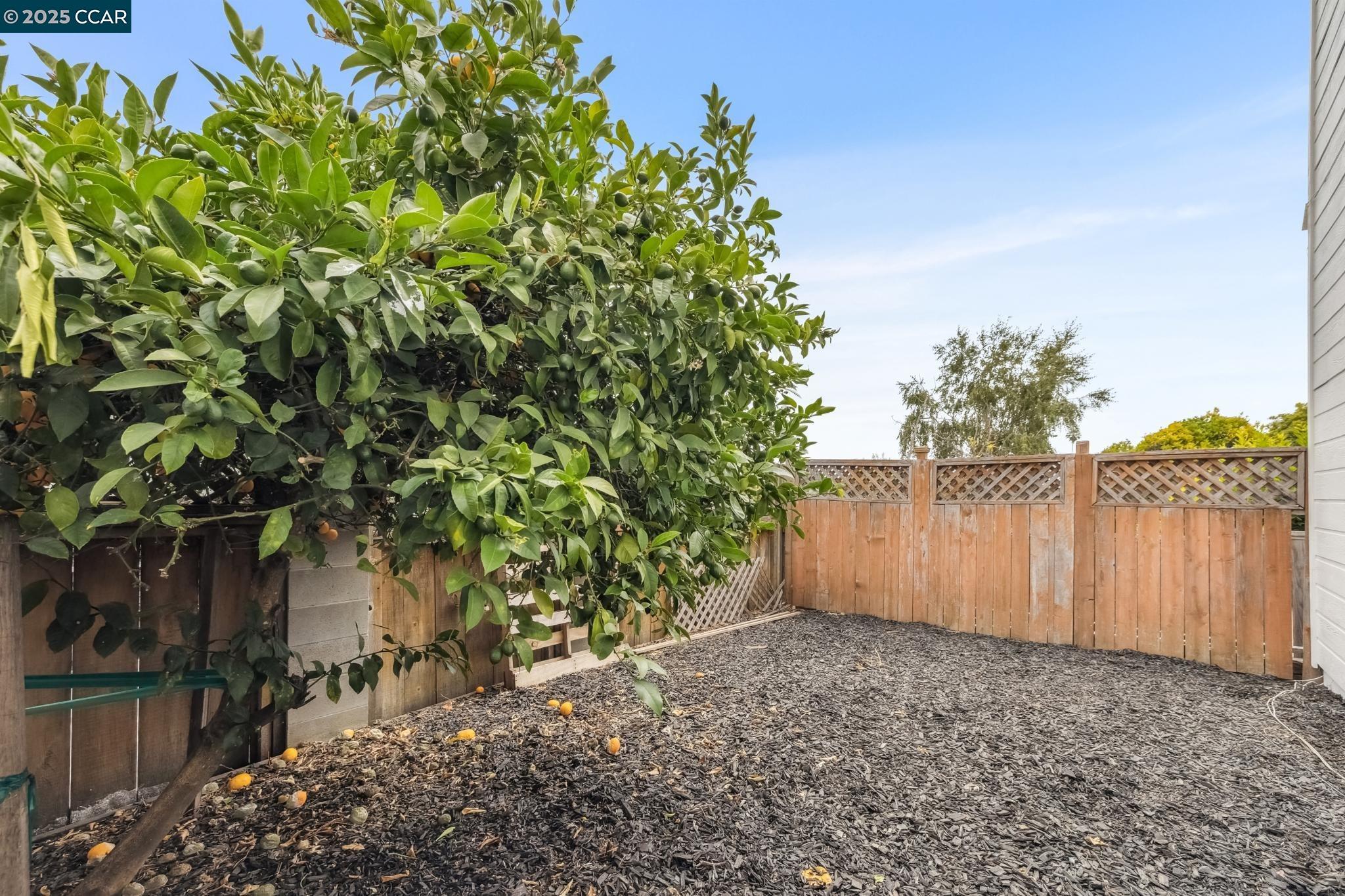 Detail Gallery Image 41 of 49 For 2413 Potomac St, Oakland,  CA 94602 - 4 Beds | 3 Baths