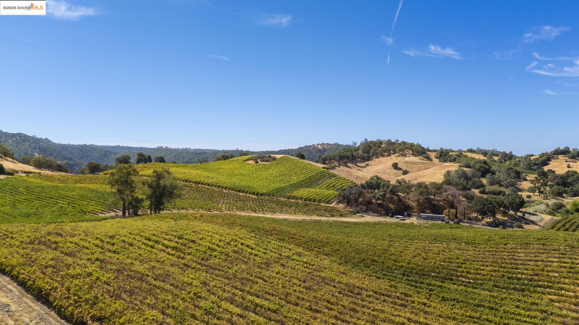 Detail Gallery Image 31 of 47 For 8055 Airola Rd, Murphys,  CA 95247 - – Beds | – Baths