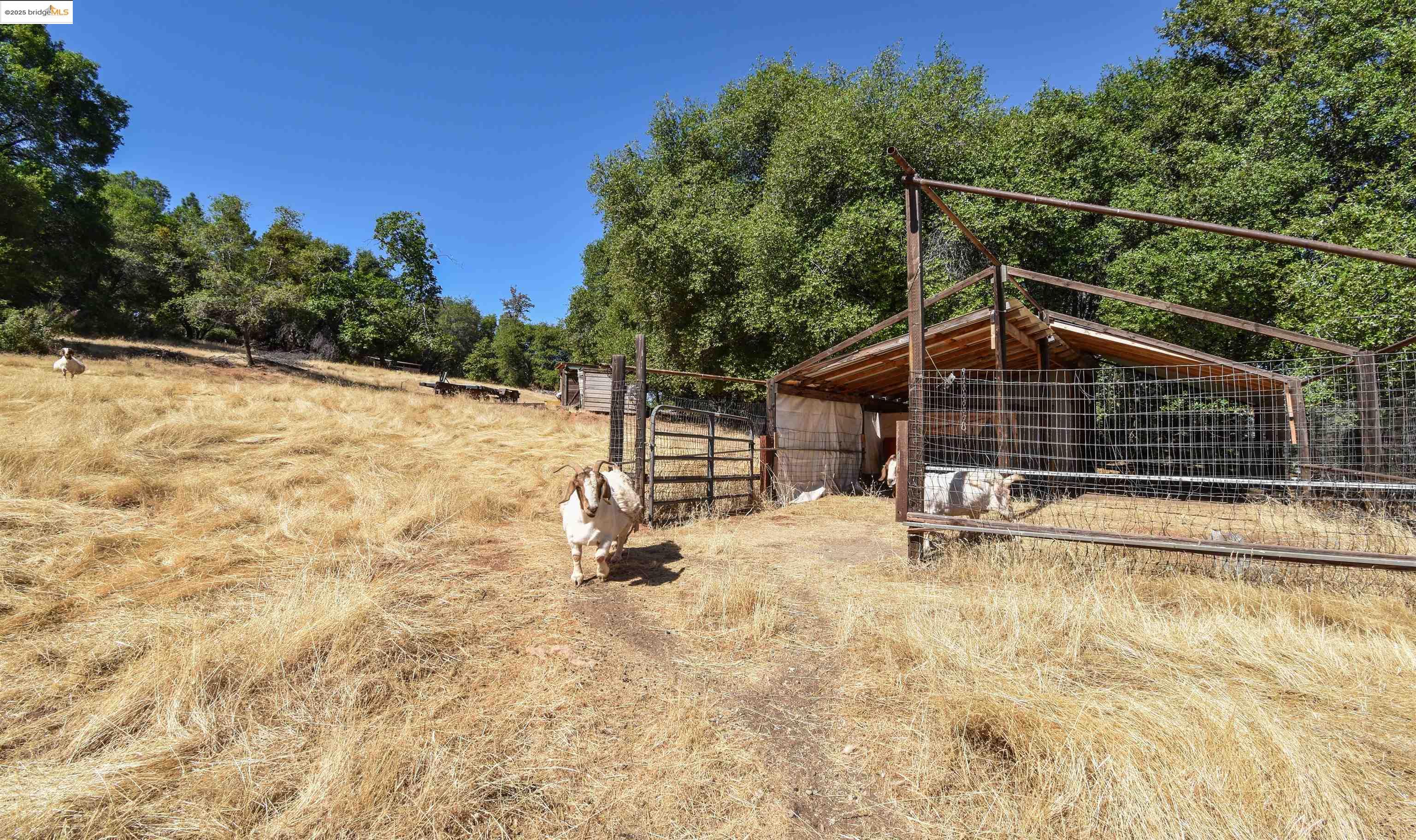 Detail Gallery Image 11 of 15 For 13893 Tuolumne Rd, Sonora,  CA 95370 - – Beds | – Baths