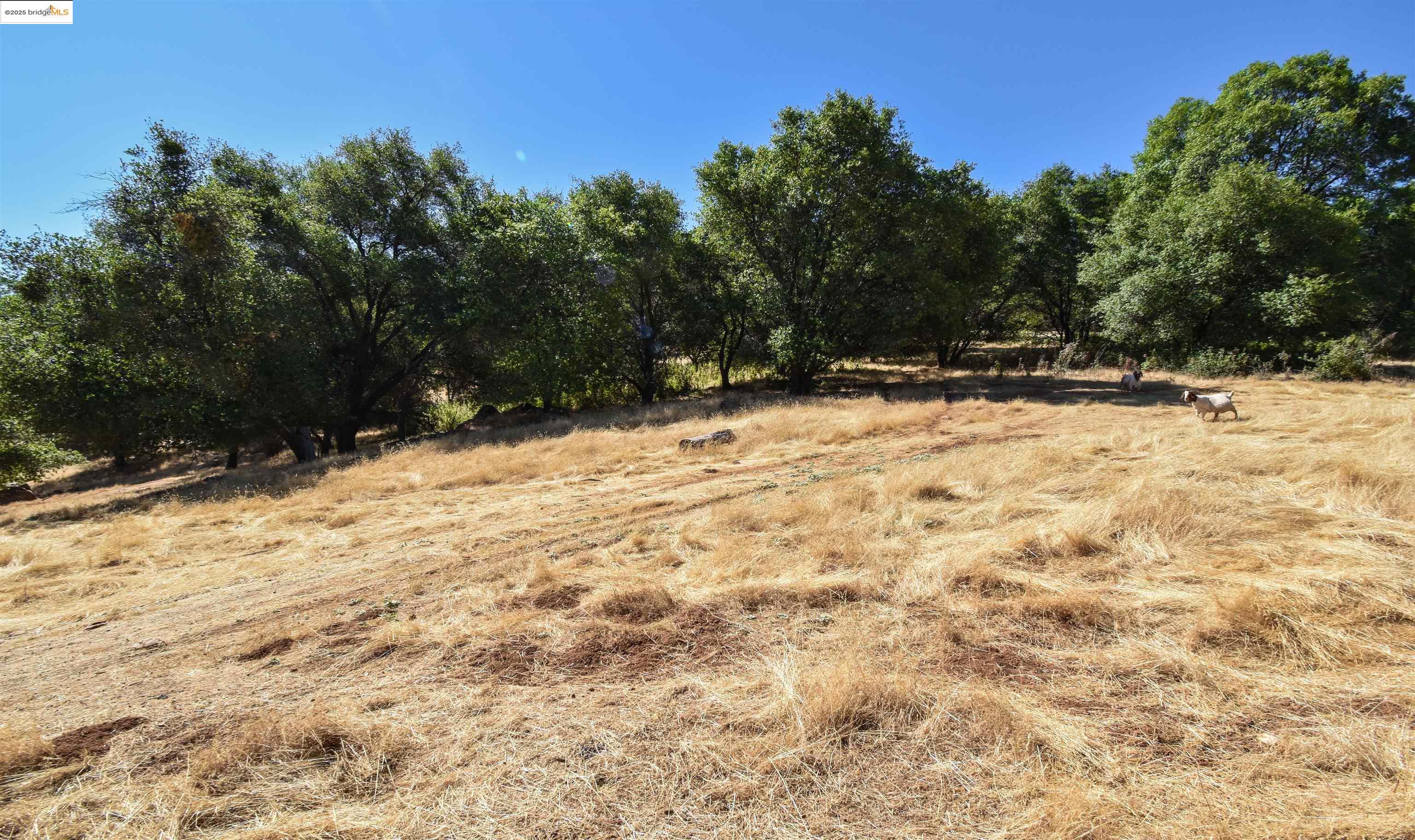 Detail Gallery Image 12 of 15 For 13893 Tuolumne Rd, Sonora,  CA 95370 - – Beds | – Baths