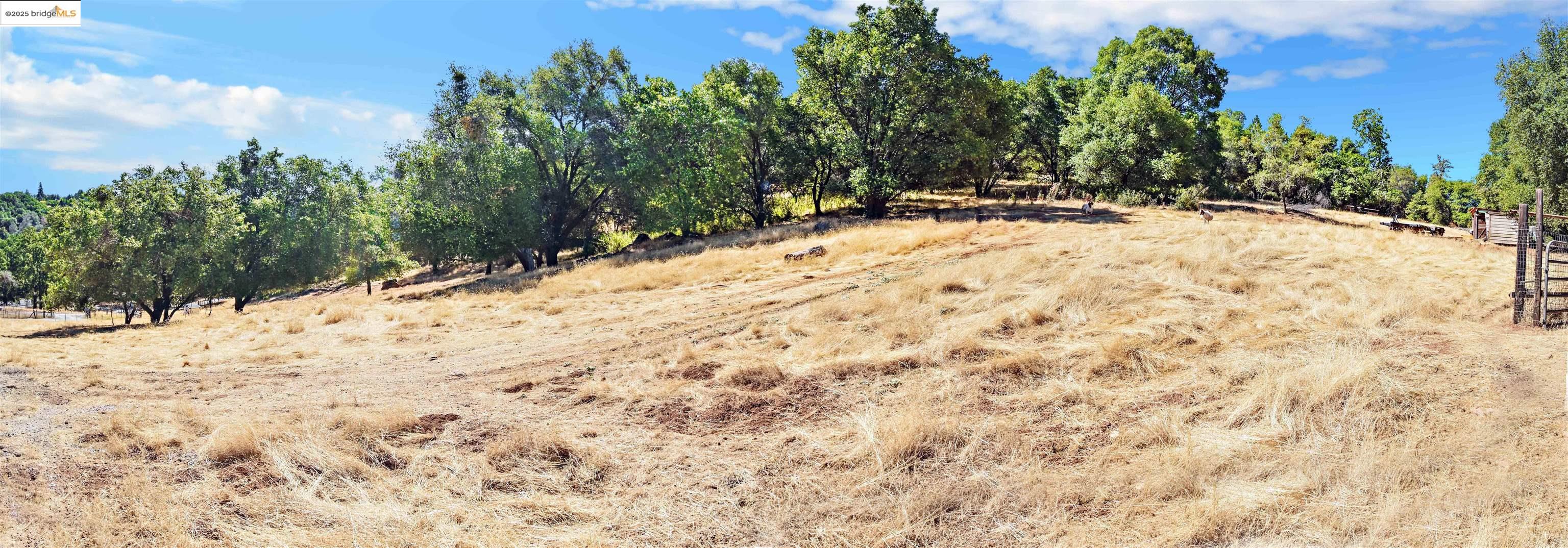 Detail Gallery Image 14 of 15 For 13893 Tuolumne Rd, Sonora,  CA 95370 - – Beds | – Baths