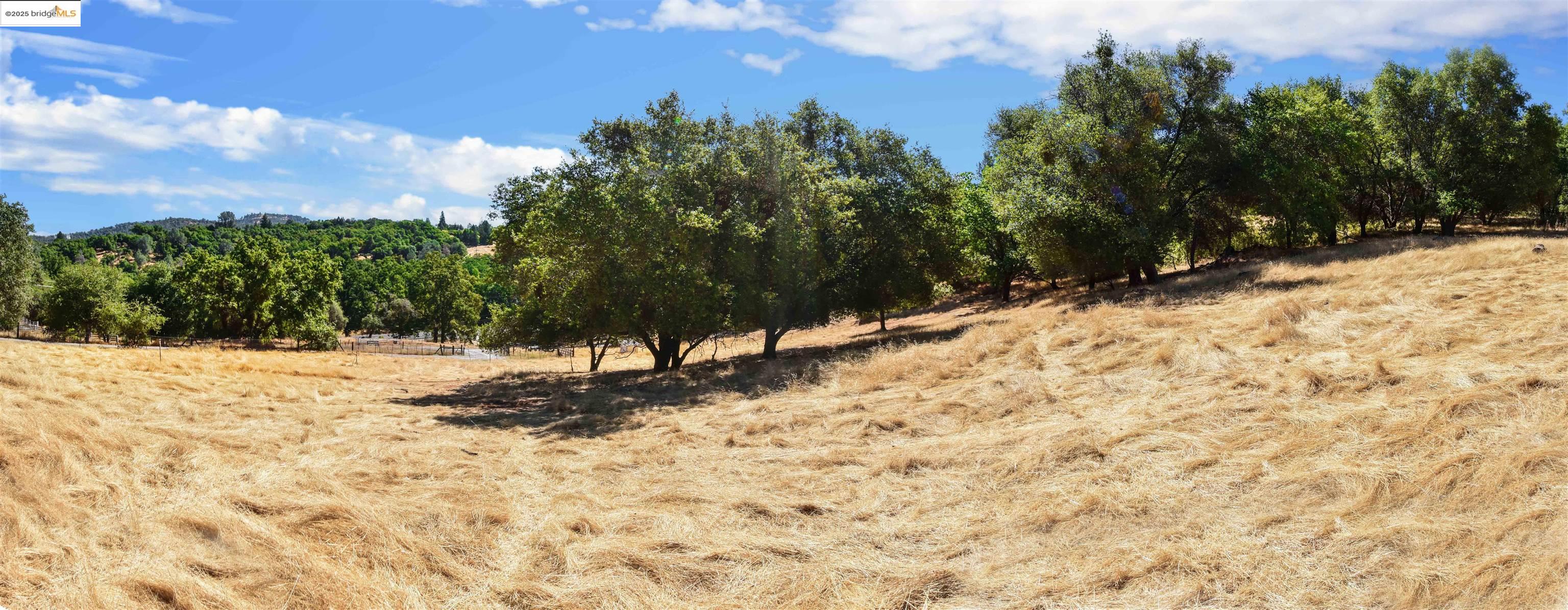 Detail Gallery Image 15 of 15 For 13893 Tuolumne Rd, Sonora,  CA 95370 - – Beds | – Baths