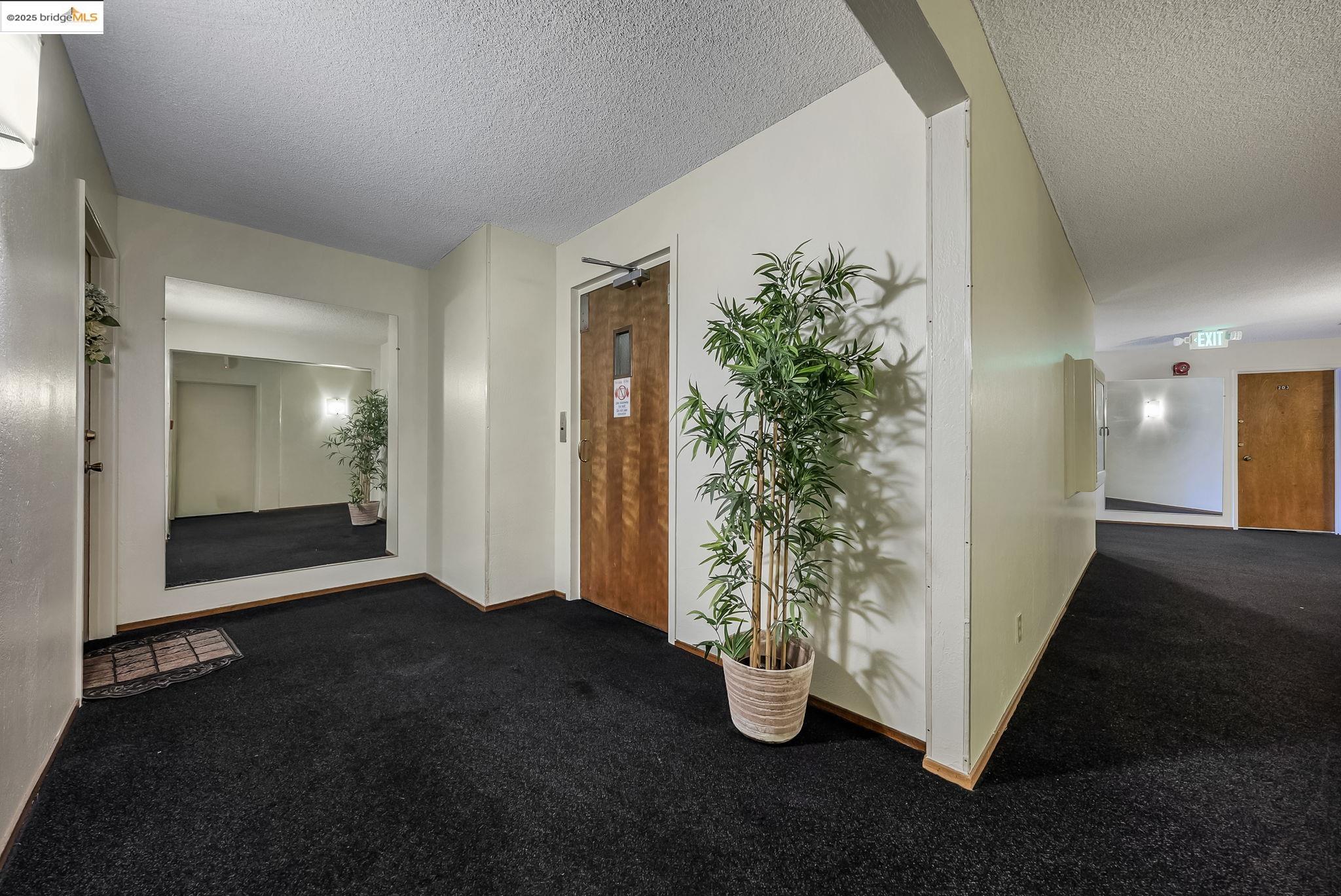 Photo #16: 41107623 Listing: Photo #16