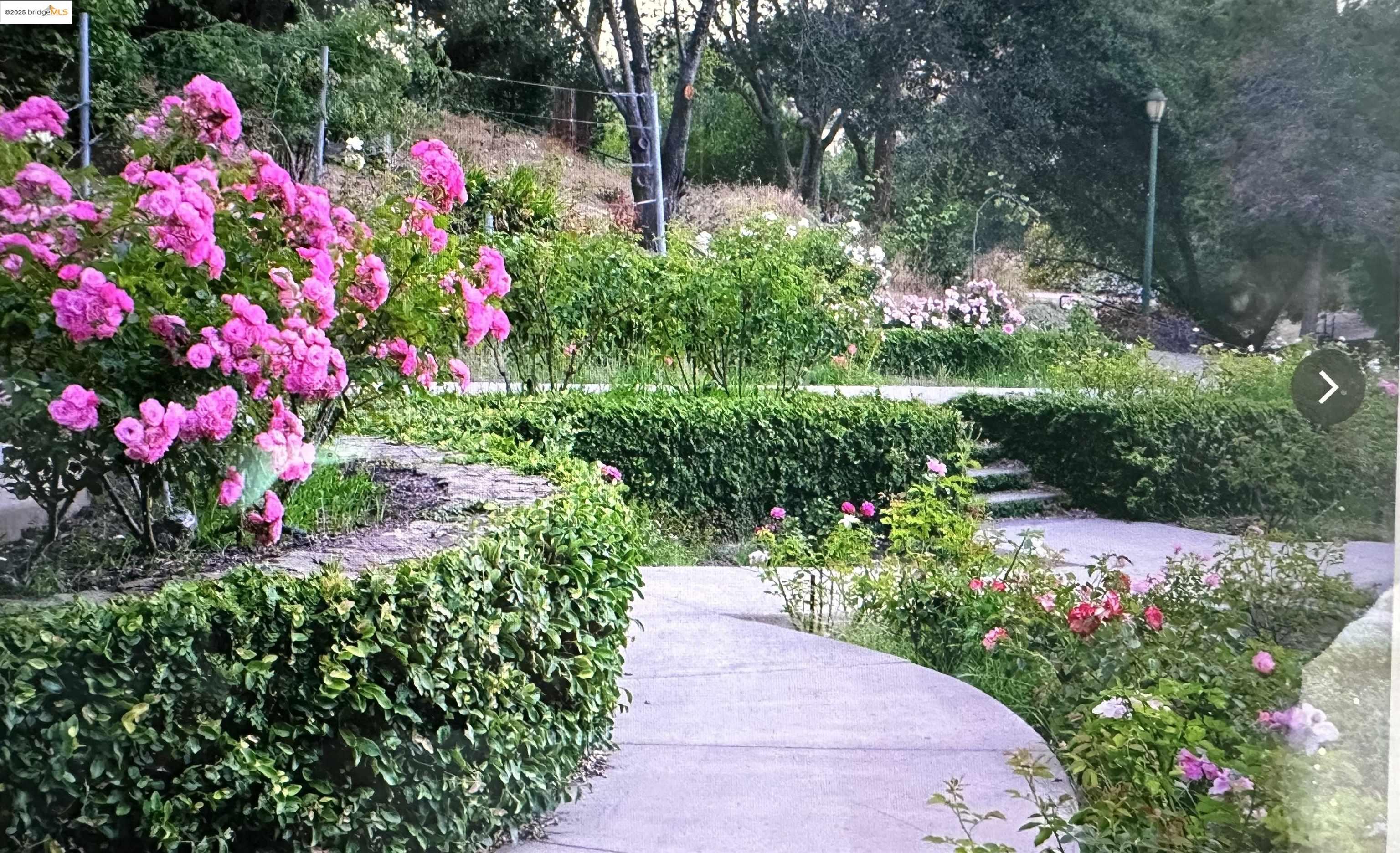 Photo #41: 41107623 Listing: Photo #41