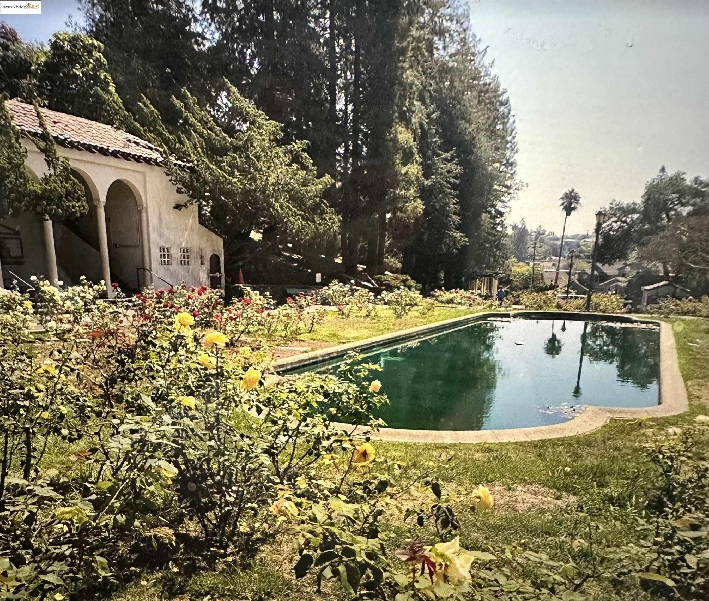 Photo #44: 41107623 Listing: Photo #44