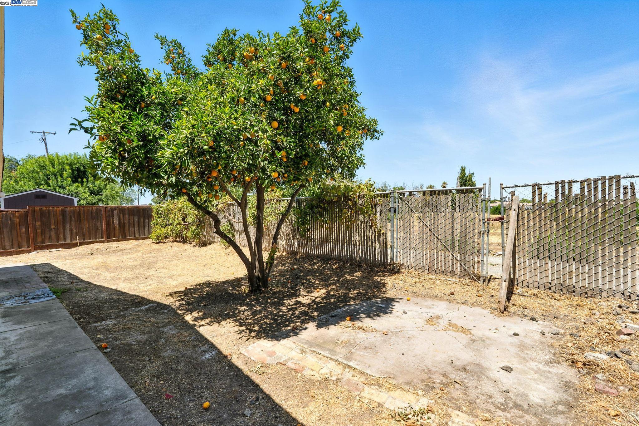 Detail Gallery Image 26 of 27 For 165 Curtis Dr, Brentwood,  CA 94513 - 3 Beds | 2 Baths