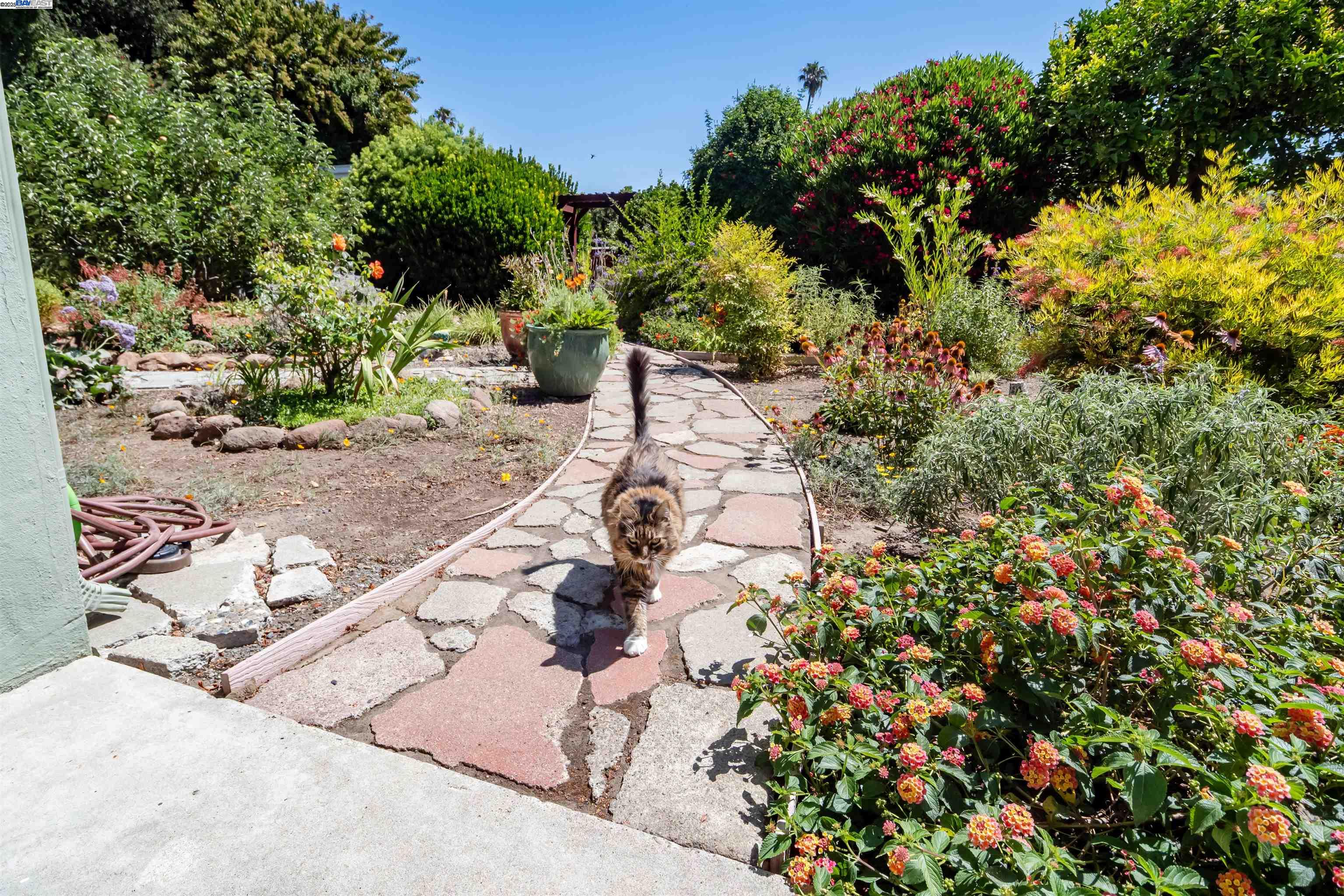 Detail Gallery Image 31 of 39 For 4670 Eggers Dr, Fremont,  CA 94536 - 3 Beds | 2 Baths