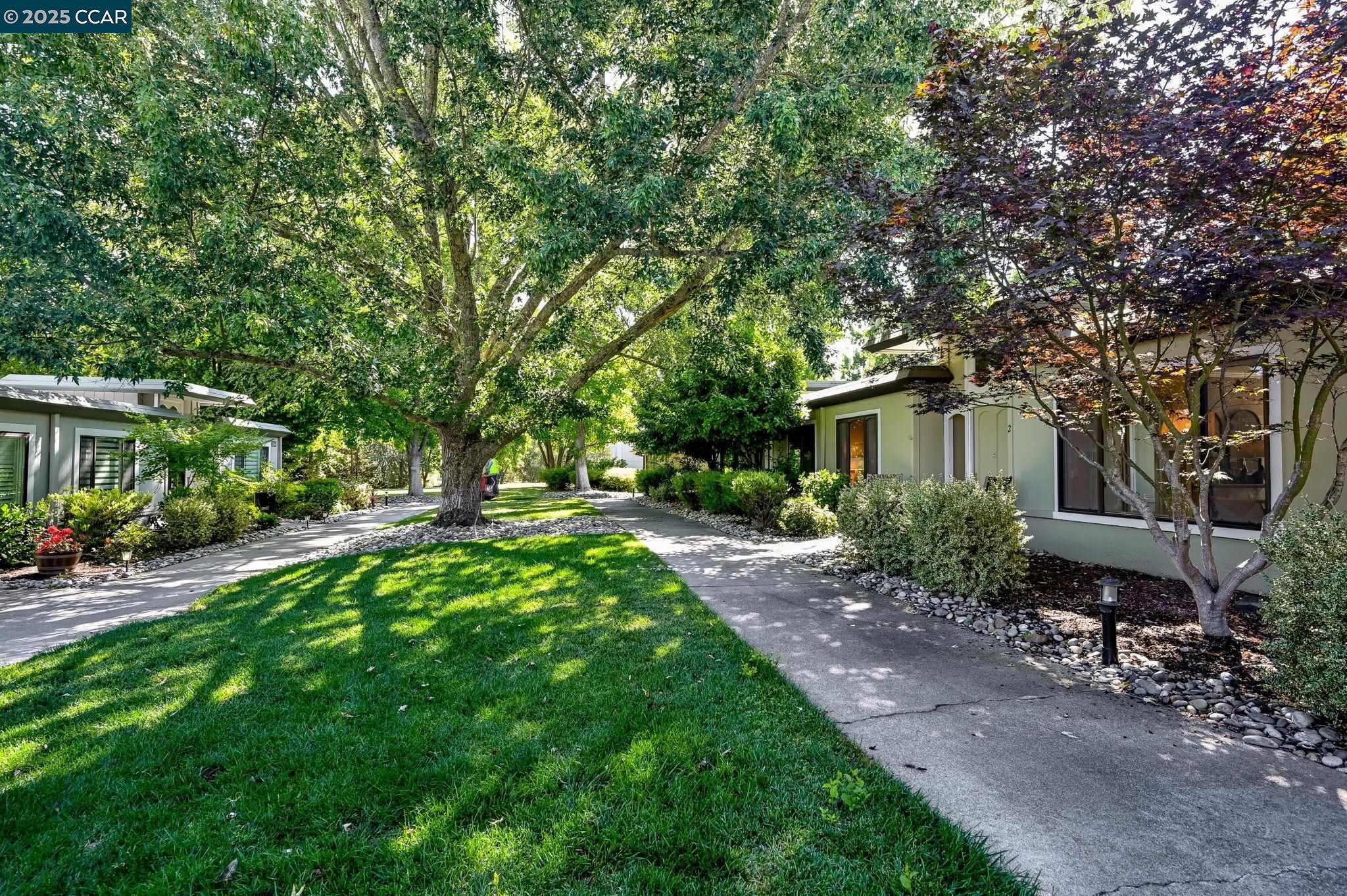 Photo #6: 41107660 Listing 