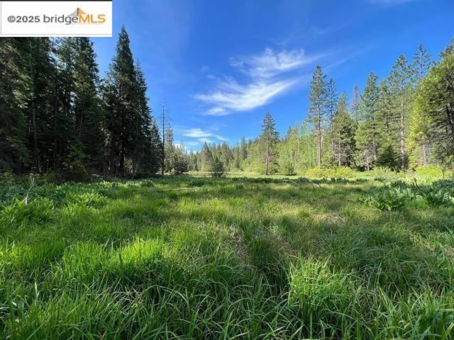 Detail Gallery Image 21 of 21 For 3805 the Jug Handle, Arnold,  CA 95223 - 1 Beds | 1 Baths
