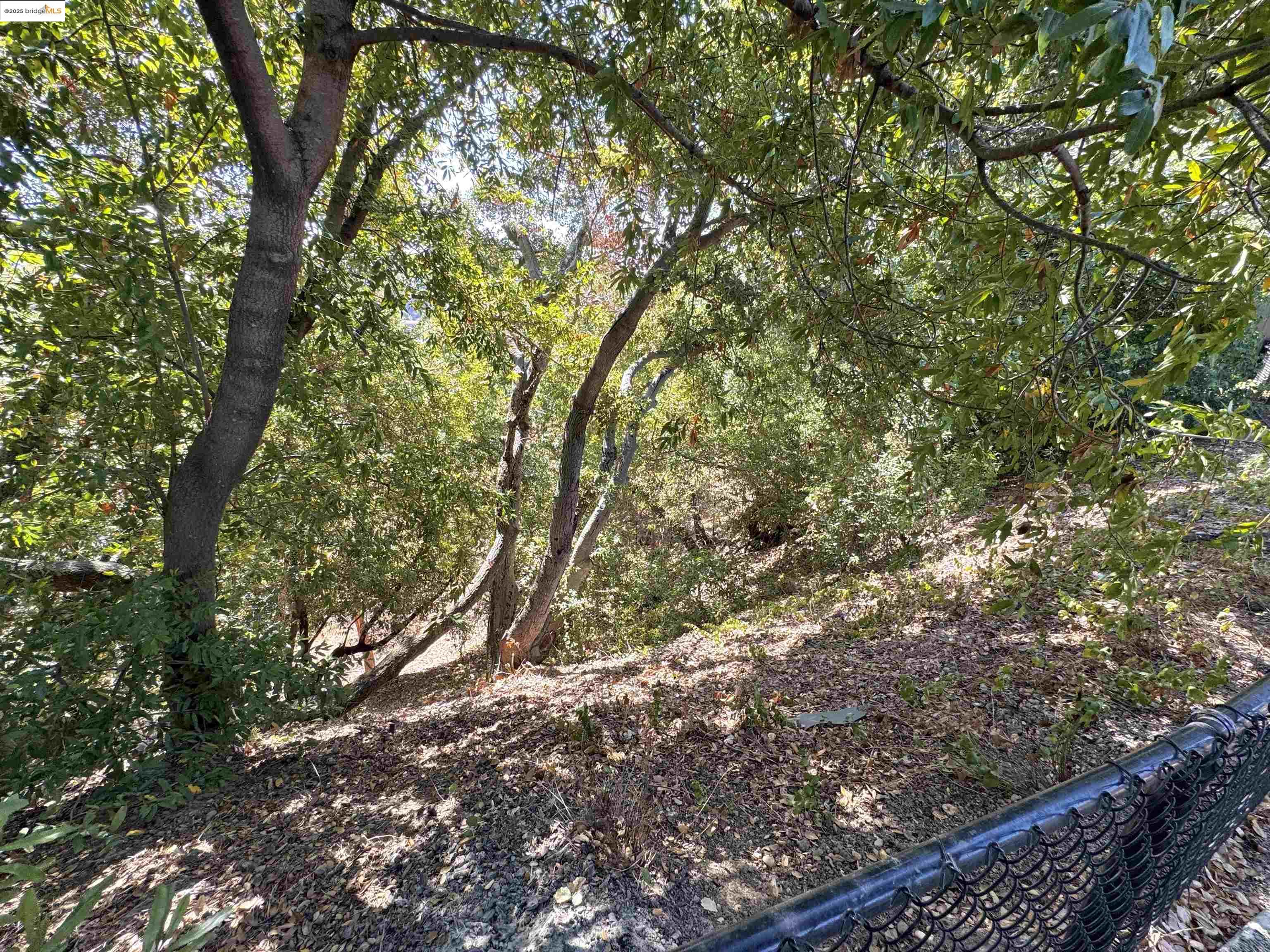 Detail Gallery Image 18 of 24 For 5667 Greenridge Rd, Castro Valley,  CA 94552 - 4 Beds | 2 Baths