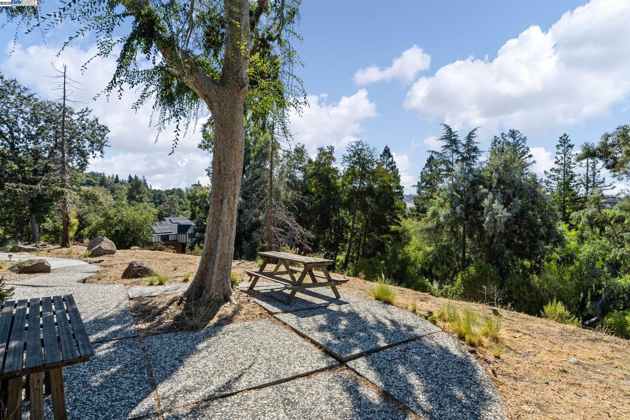 Detail Gallery Image 32 of 57 For 2592 Caballo Ranchero Dr, Diablo,  CA 94528 - 4 Beds | 2 Baths