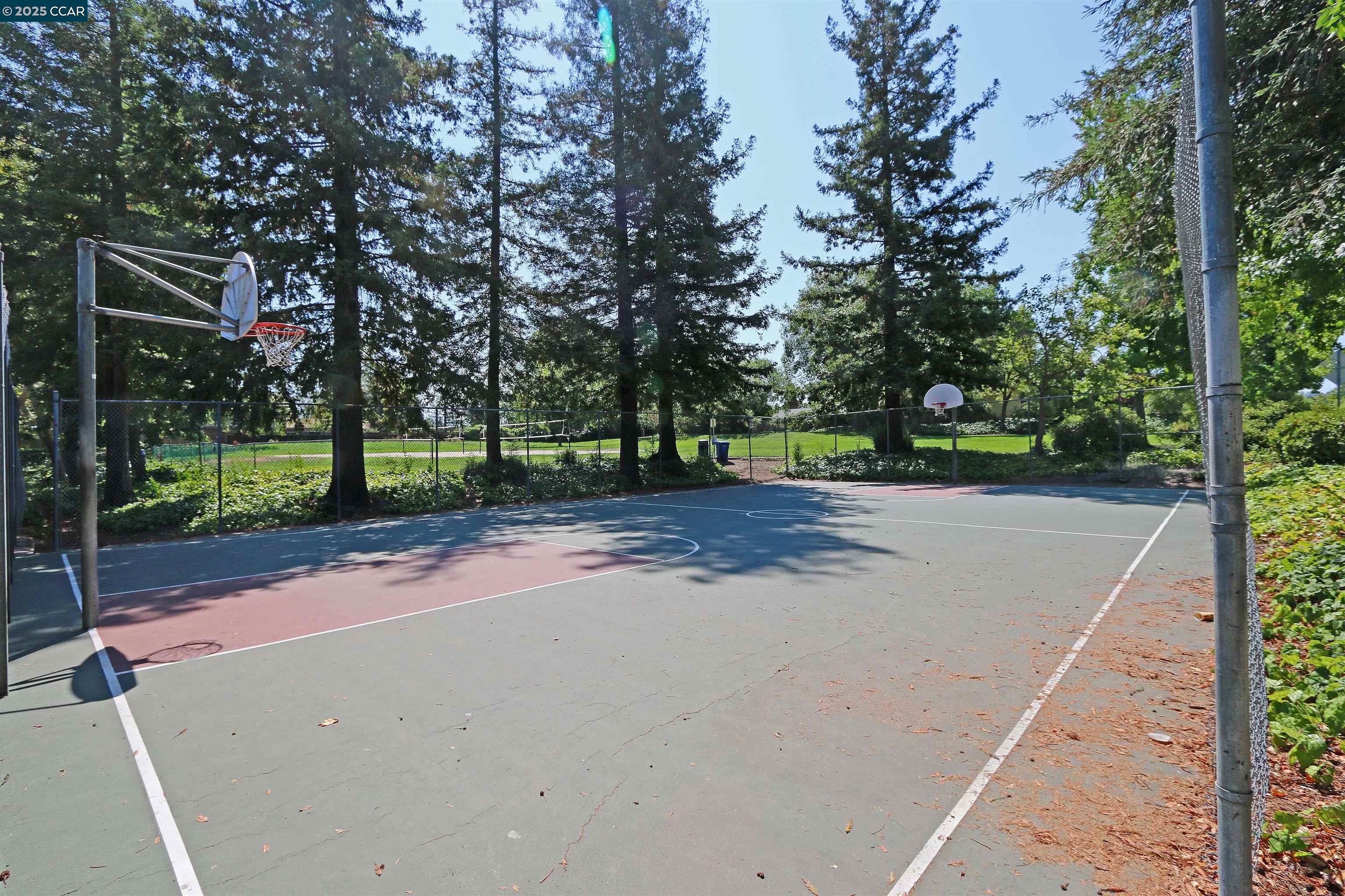 Photo #30: 41107742 Listing: Photo #30