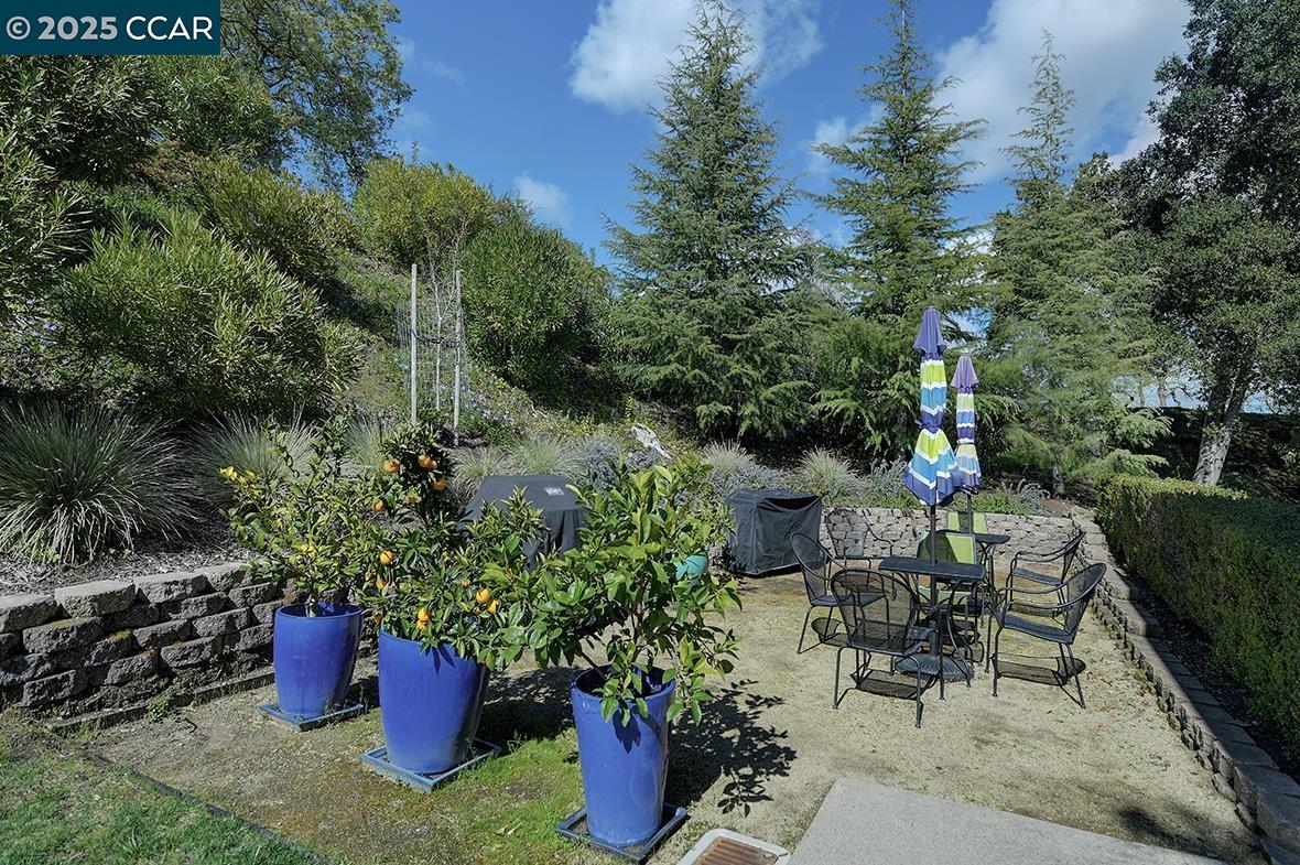 Detail Gallery Image 42 of 55 For 1232 Skycrest Dr #9,  Walnut Creek,  CA 94595 - 2 Beds | 1 Baths