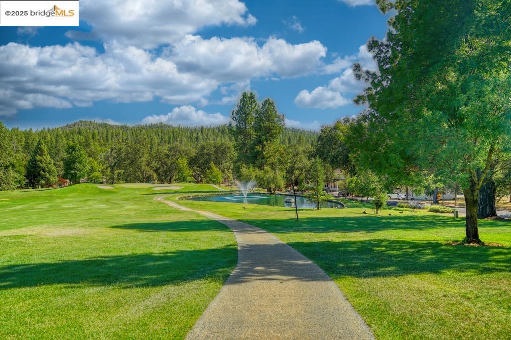 Detail Gallery Image 52 of 60 For 12435 Cassaretto, Groveland,  CA 95321 - 4 Beds | 2/1 Baths