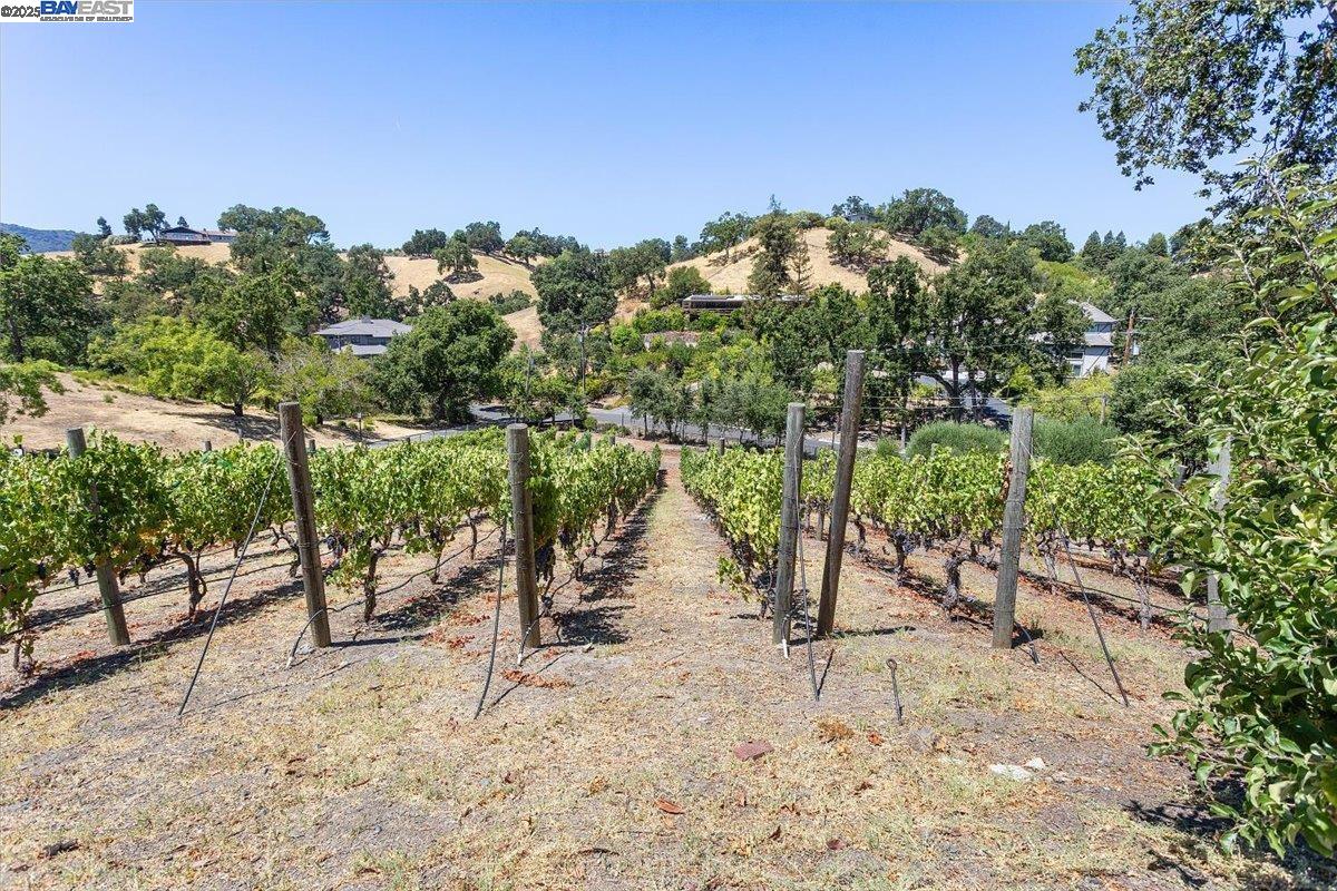Detail Gallery Image 56 of 60 For 859 El Pintado Rd, Danville,  CA 94526 - 4 Beds | 4 Baths