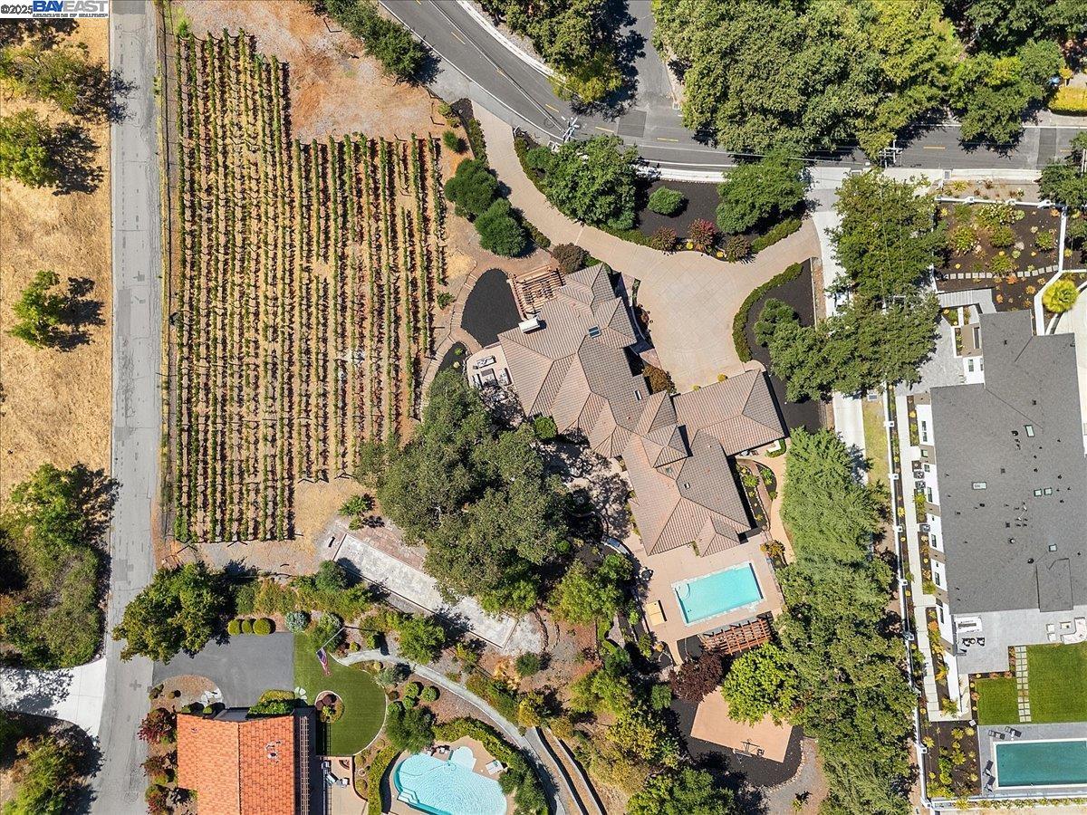 Detail Gallery Image 58 of 60 For 859 El Pintado Rd, Danville,  CA 94526 - 4 Beds | 4 Baths