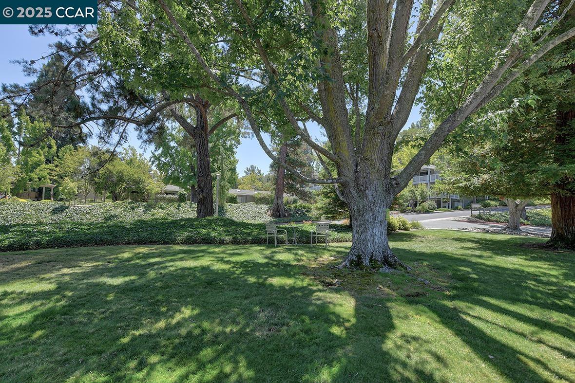 Photo #17: 41107791 Listing: Photo #17