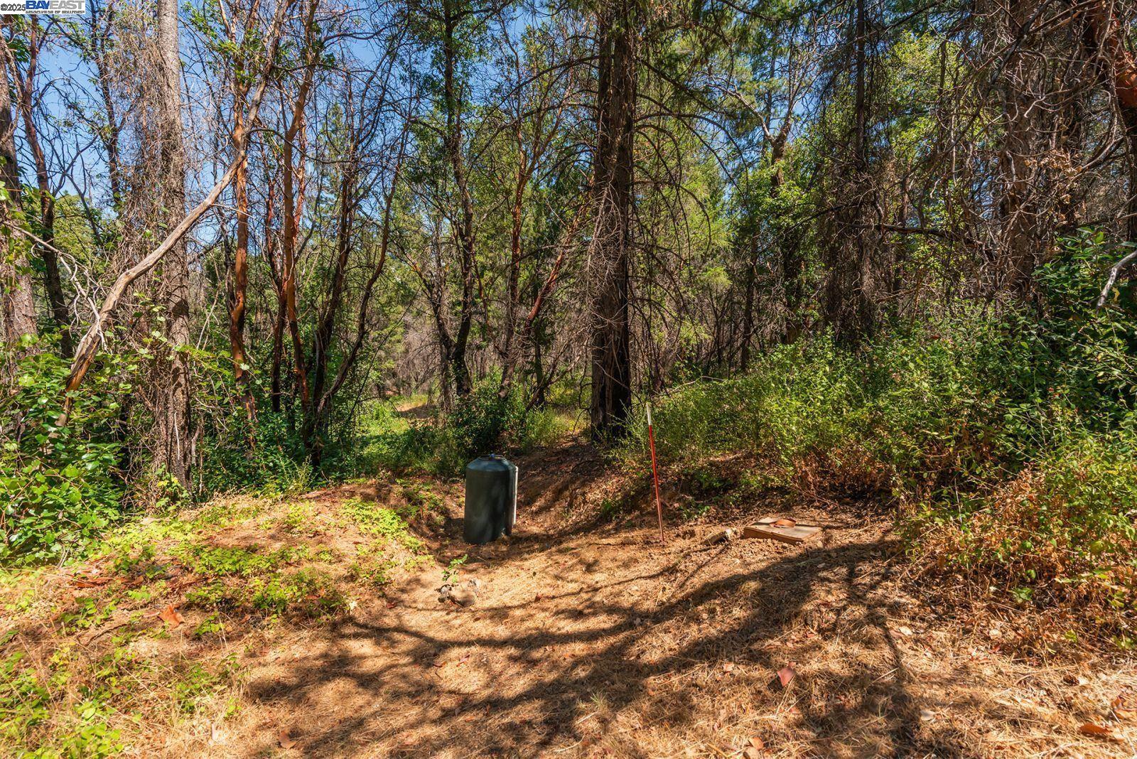 Detail Gallery Image 37 of 49 For 181 Price Creek Rd, Big Bar,  CA 96010 - 2 Beds | 2 Baths