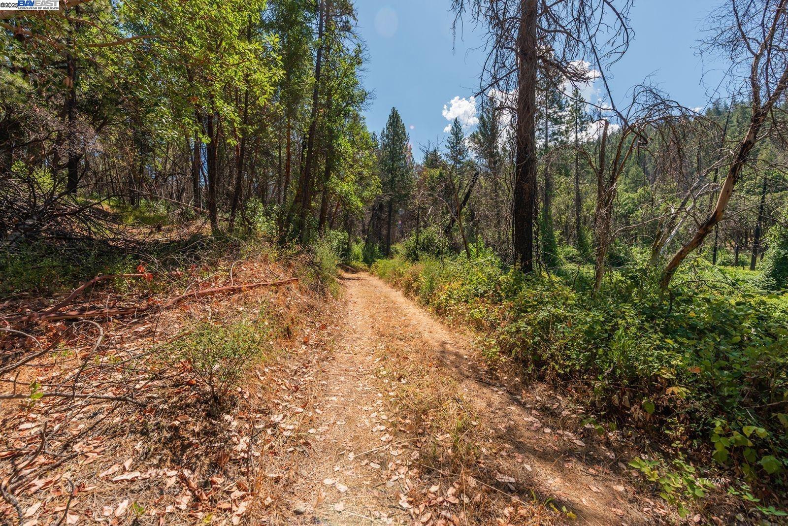 Detail Gallery Image 48 of 49 For 181 Price Creek Rd, Big Bar,  CA 96010 - 2 Beds | 2 Baths