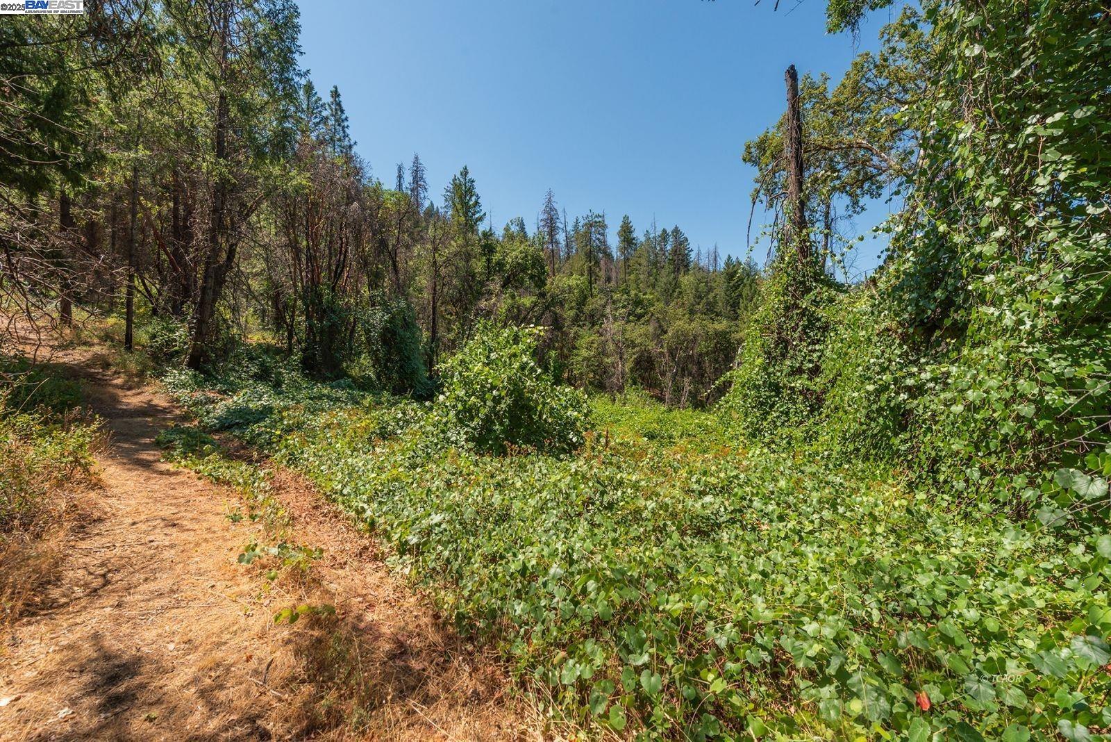 Detail Gallery Image 49 of 49 For 181 Price Creek Rd, Big Bar,  CA 96010 - 2 Beds | 2 Baths