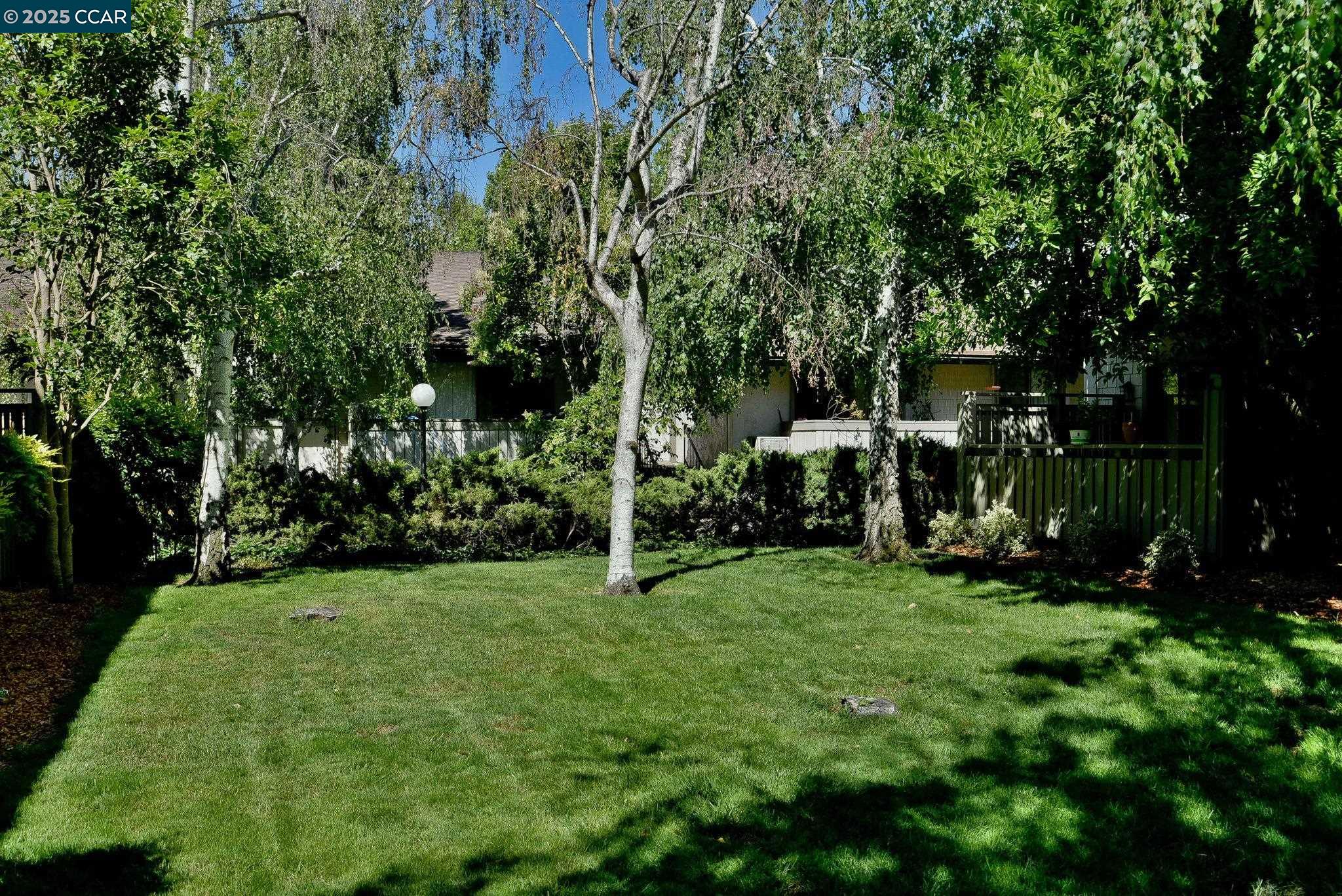 Photo #21: 41107795 Listing: Photo #21