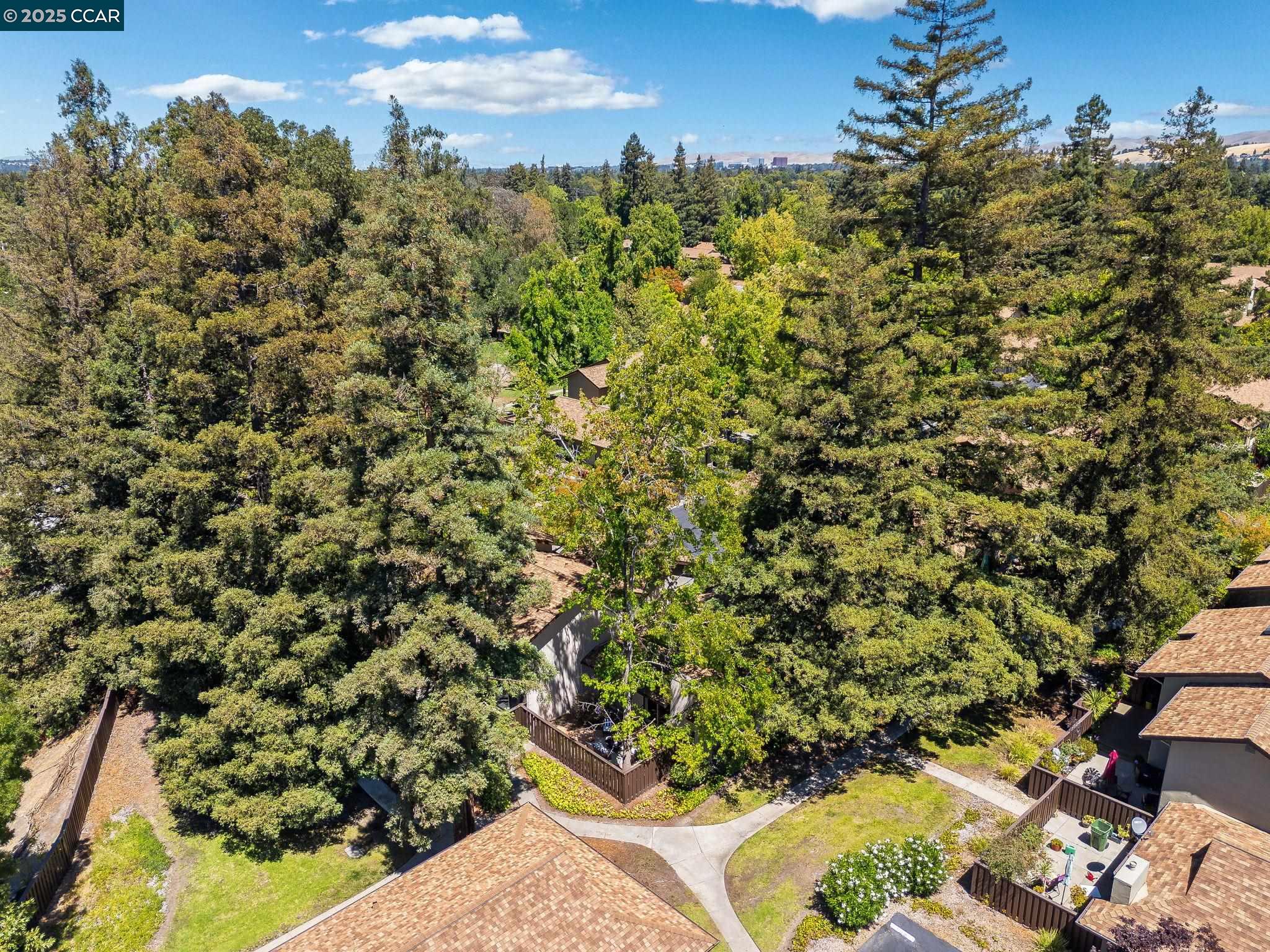 Detail Gallery Image 32 of 41 For 1905 Countrywood, Walnut Creek,  CA 94598 - 2 Beds | 1/1 Baths