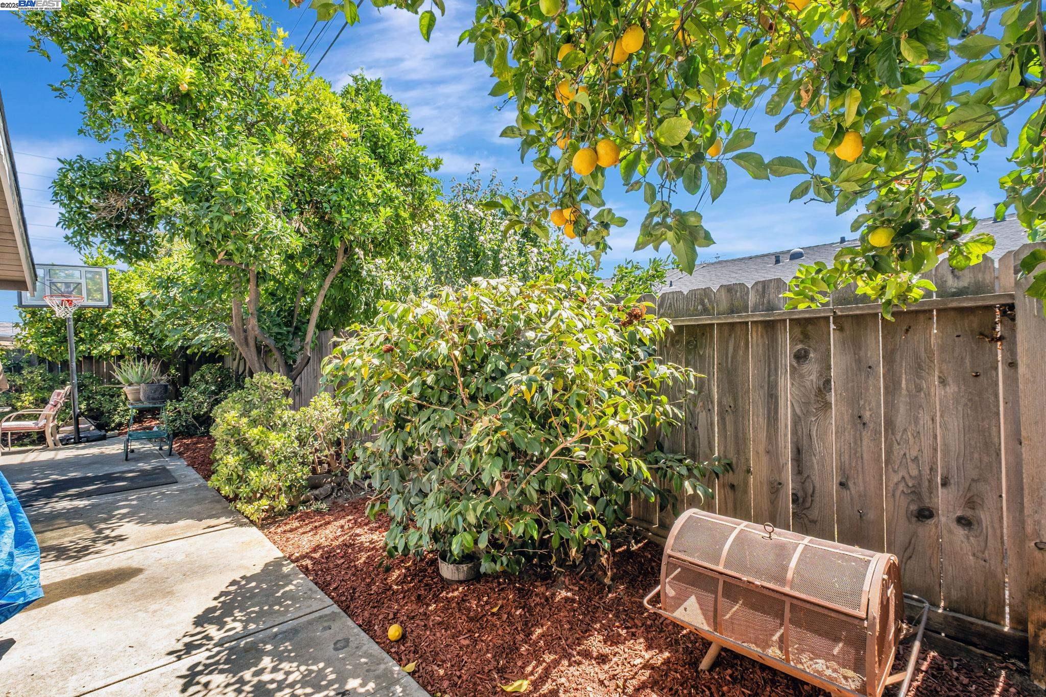 Detail Gallery Image 37 of 38 For 40575 Blacow Road, Fremont,  CA 94538 - 3 Beds | 2 Baths