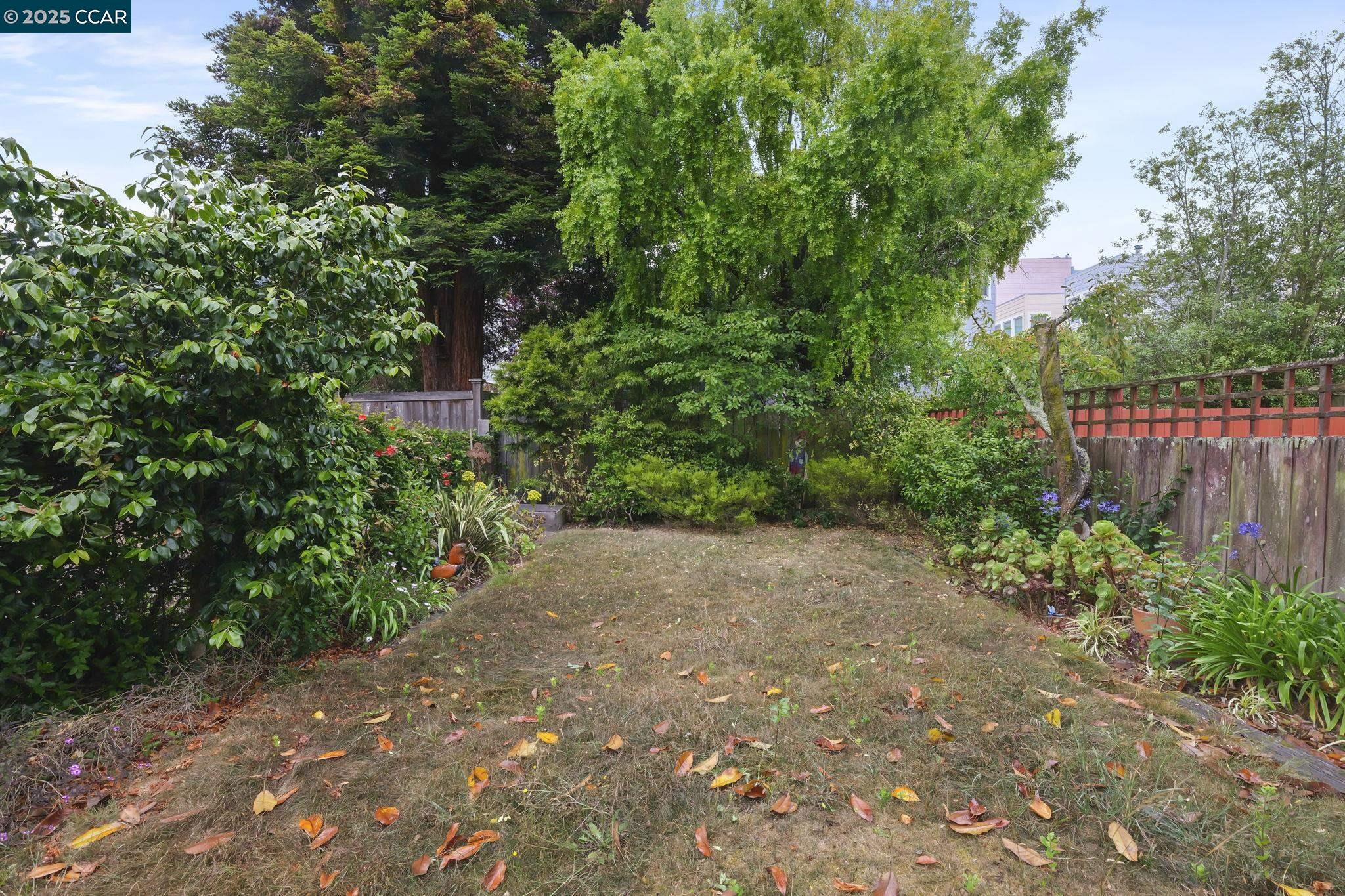 Detail Gallery Image 38 of 41 For 174 15th Ave, San Francisco,  CA 94118 - 2 Beds | 1/1 Baths