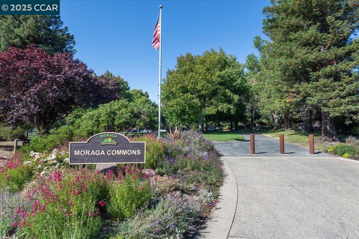 Detail Gallery Image 41 of 48 For 3900 Campolindo Dr, Moraga,  CA 94556 - 4 Beds | 2/1 Baths